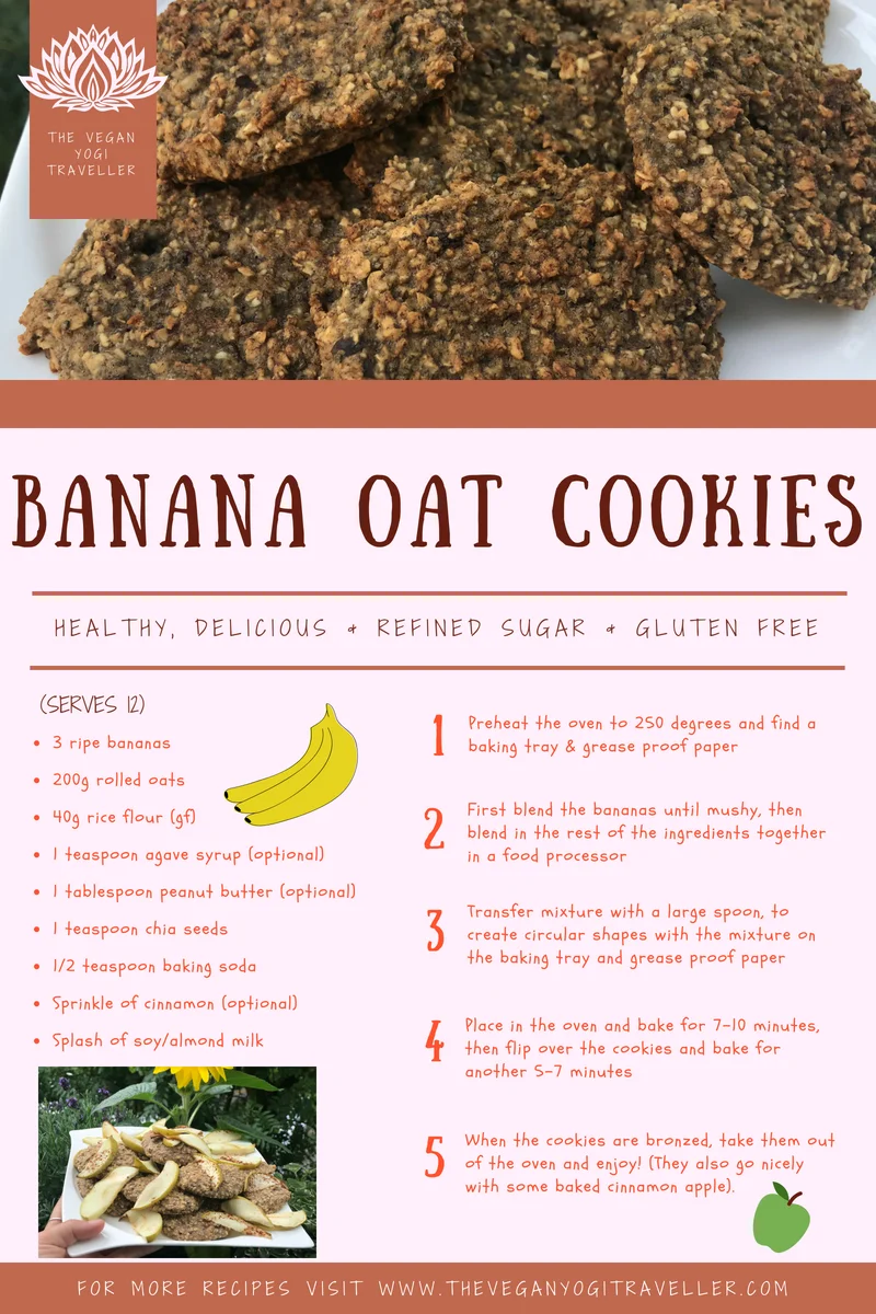New Gluten Free Vegan recipe eBook coming soon!