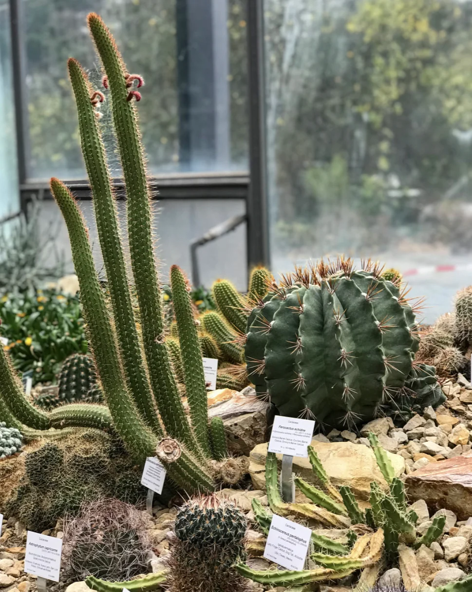 The botanical gardens.