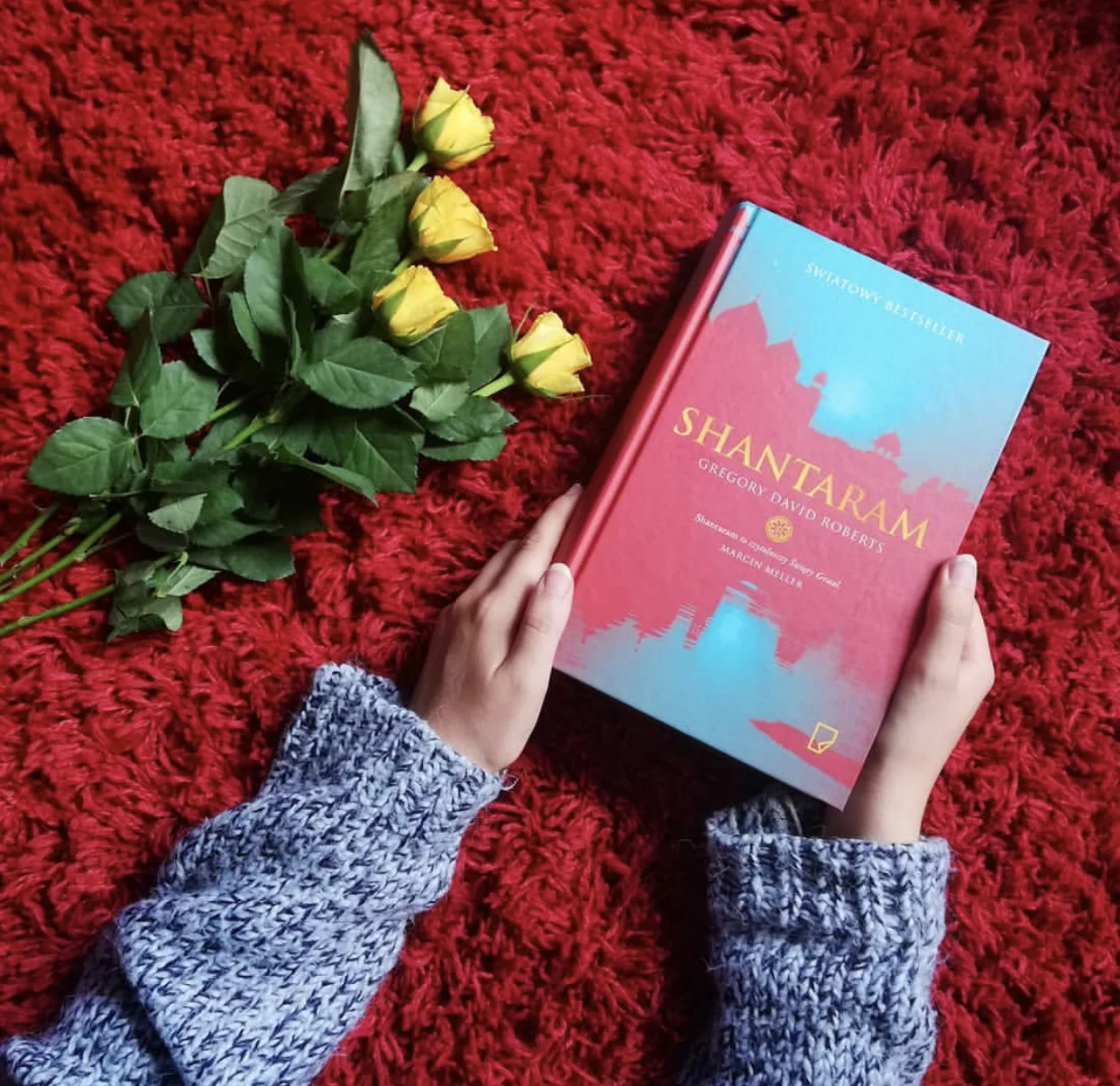 (Image used from IG @very.little.book.nerd)