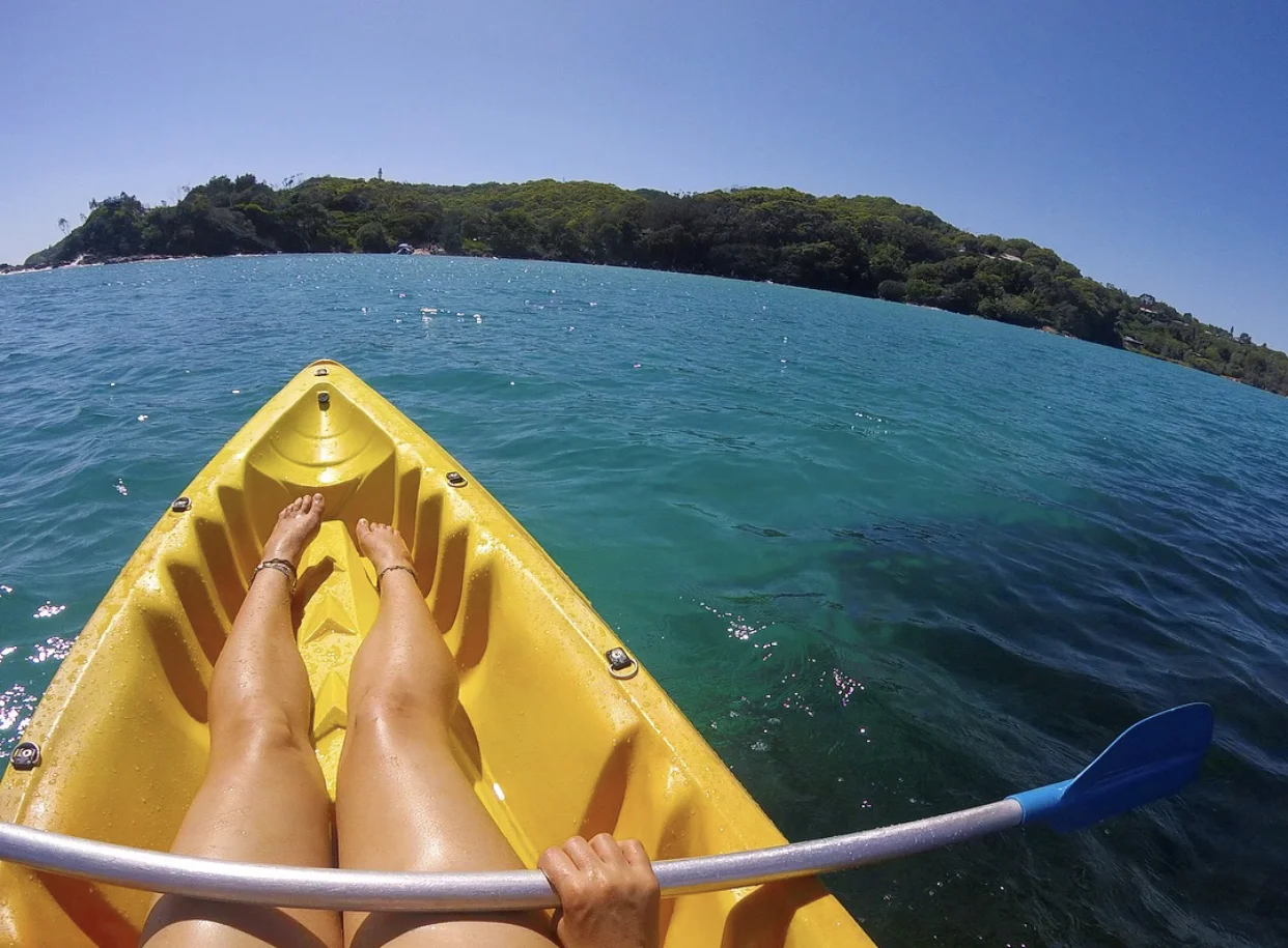 Kayaking at Bryan Bay with dolphins.