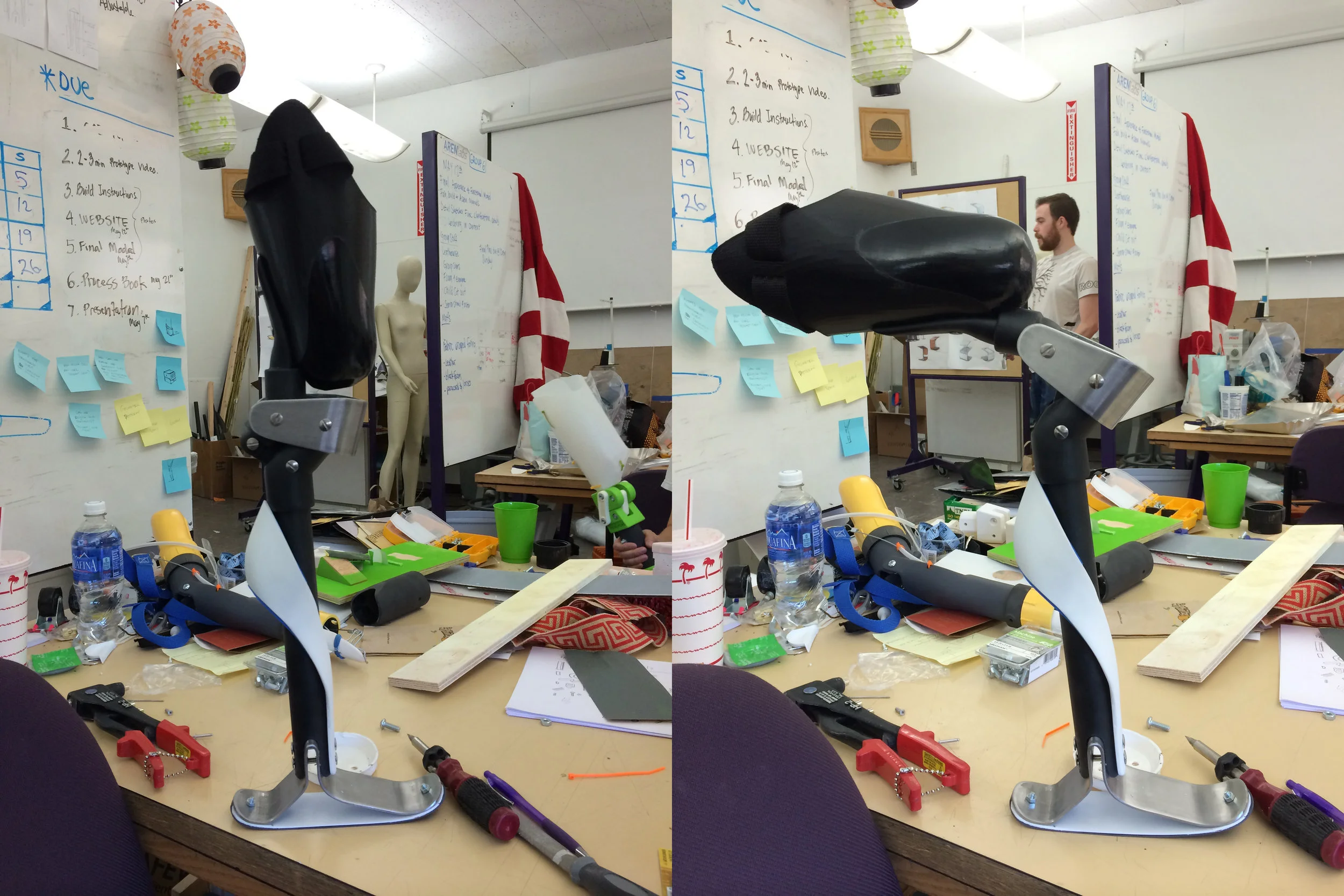 simple limb final model.jpg