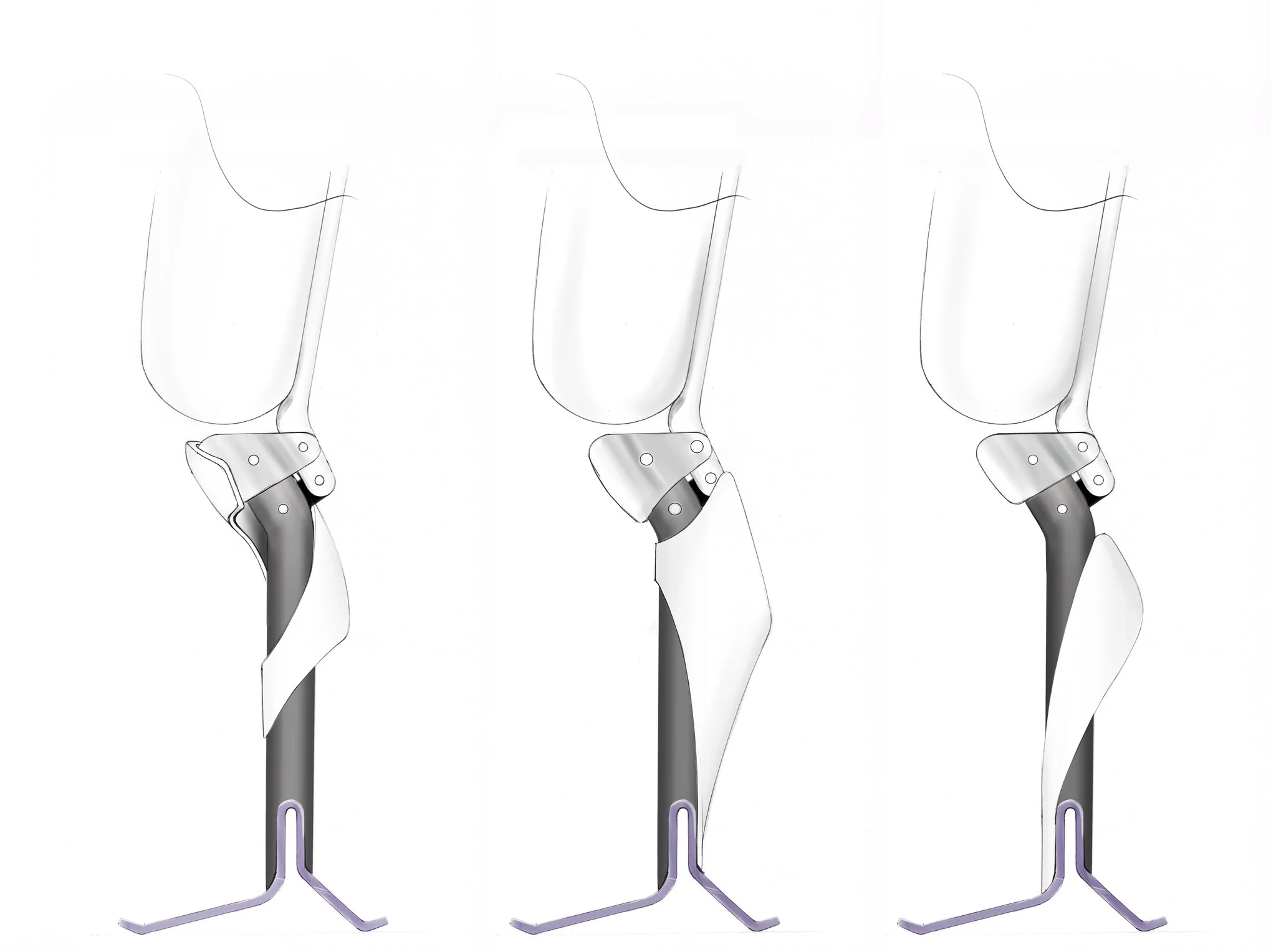 calf sketch.jpg