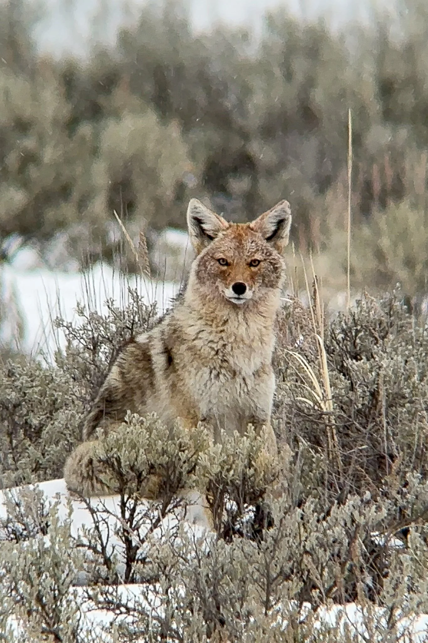 Watching the watcher