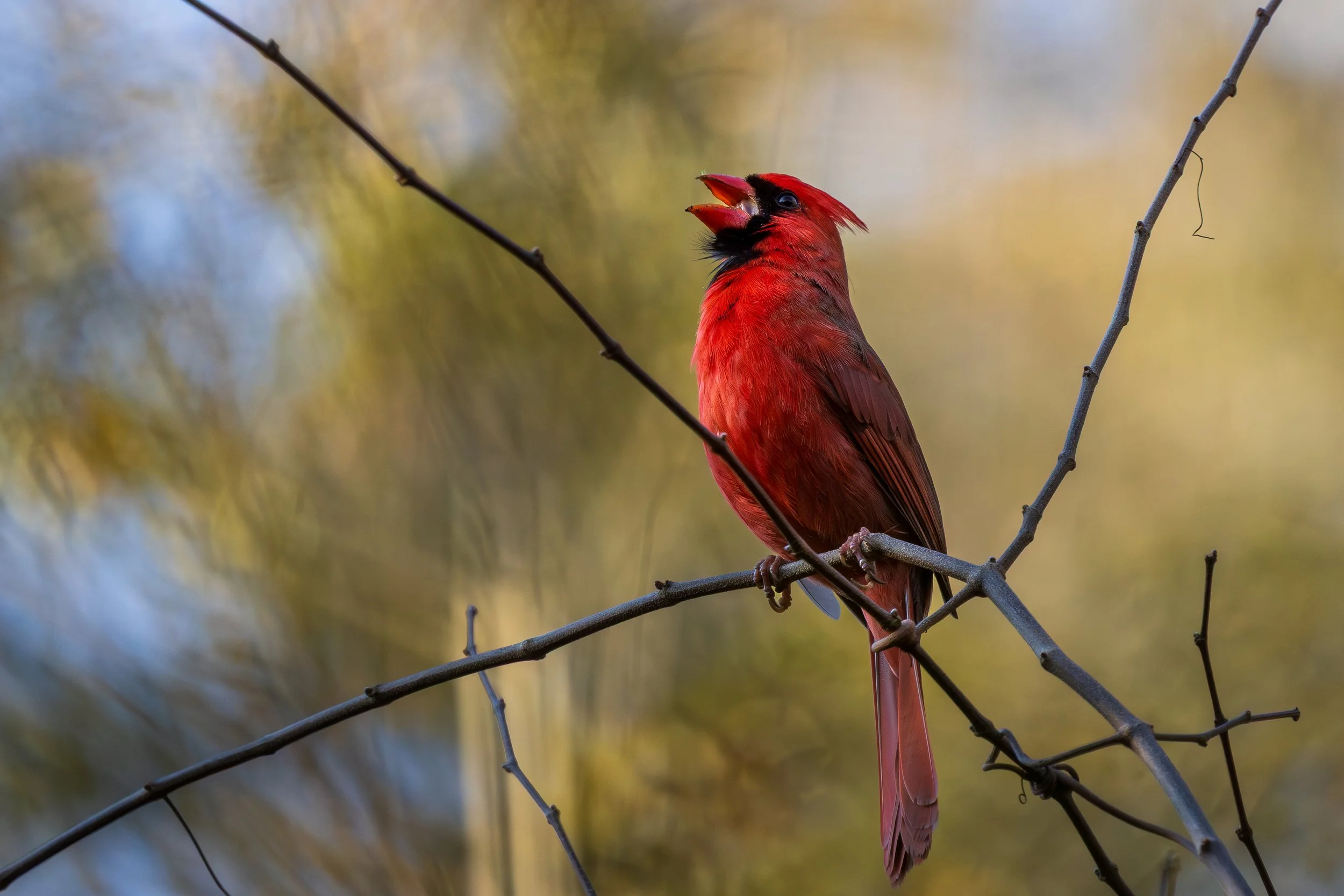 OKE Photobook-37.jpg