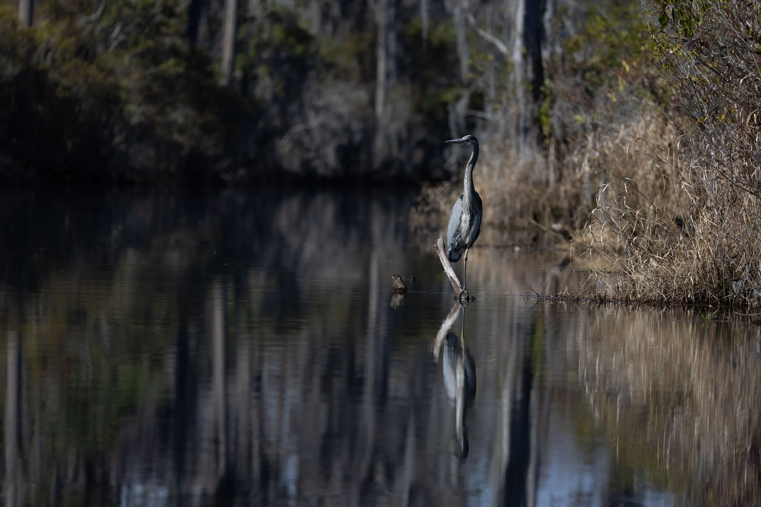 Nancy and Erik-12.jpg