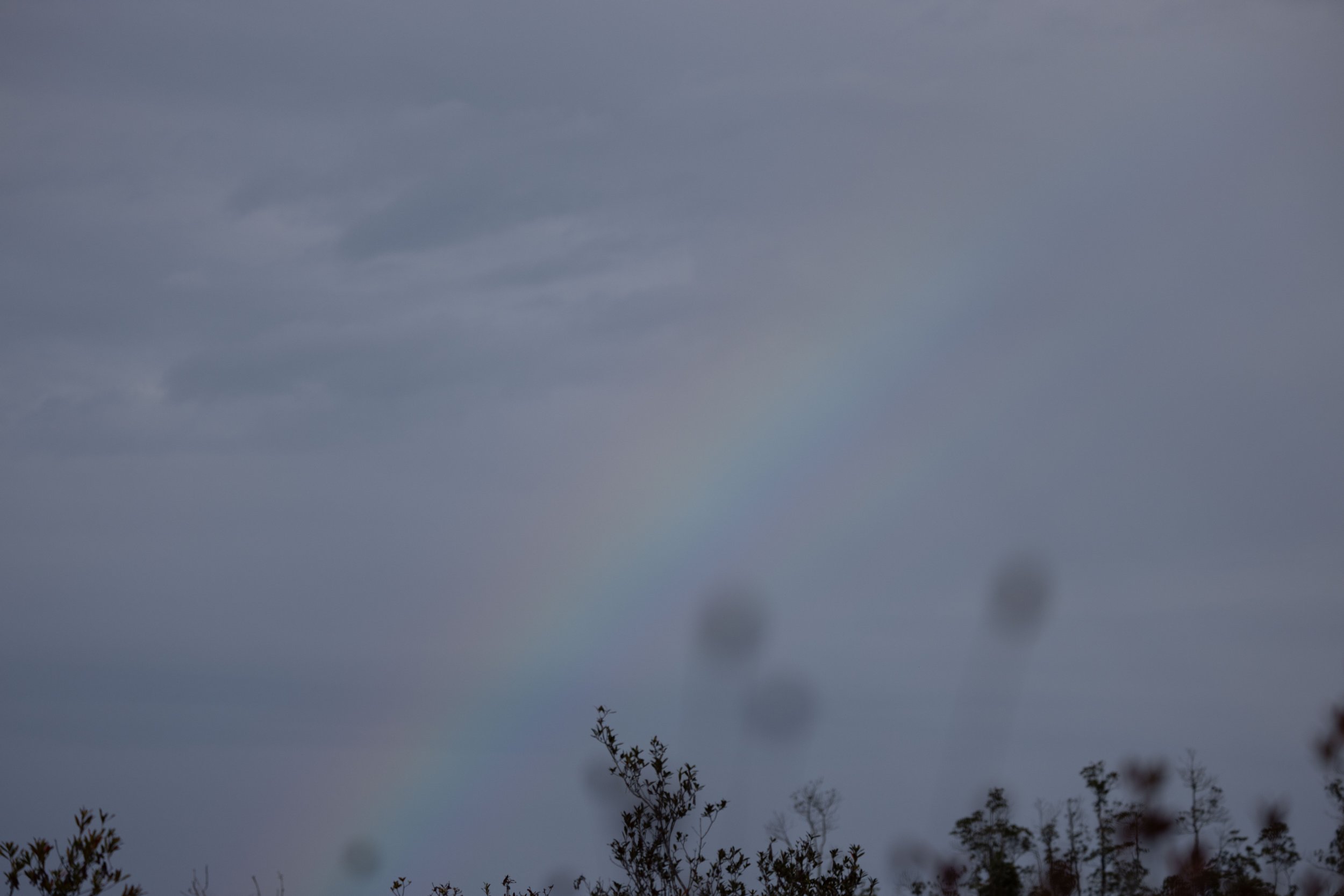 Nancy and Erik-08.jpg