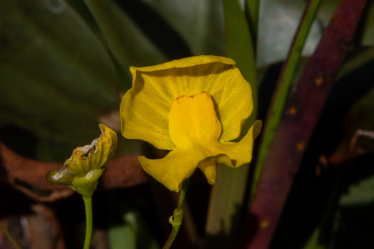 521A4069.jpg