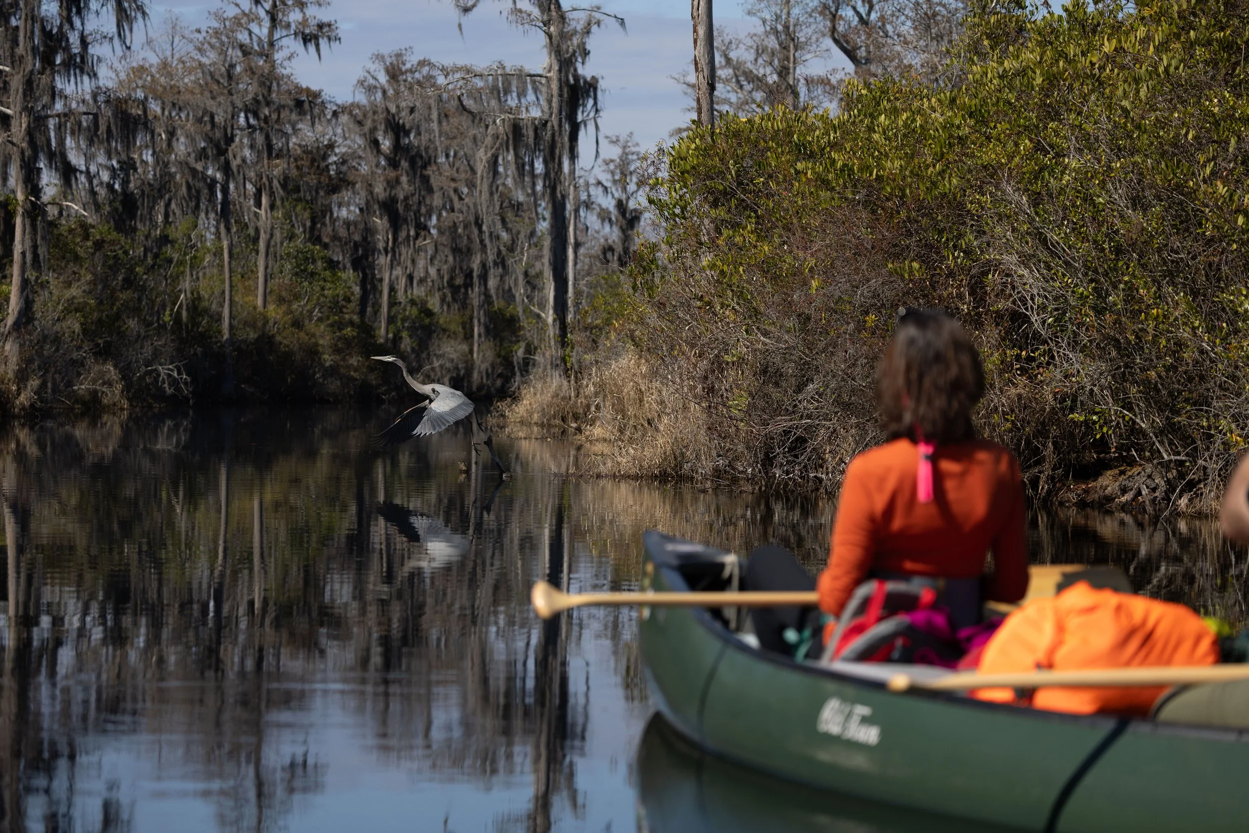 Nancy and Erik-11.jpg