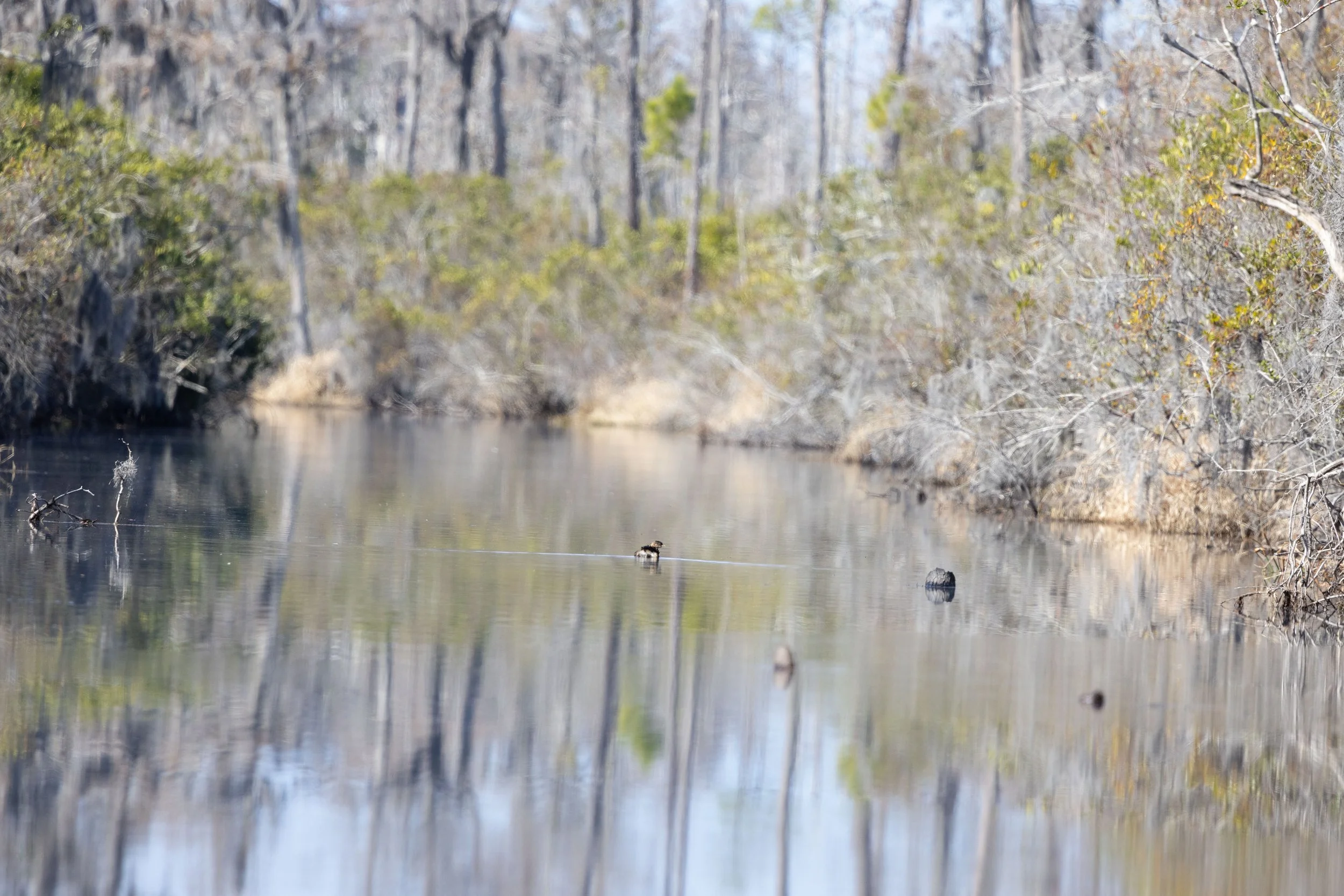 Nancy and Erik-09.jpg