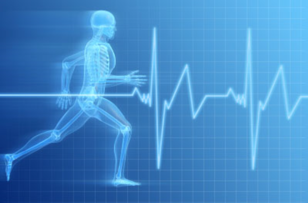 Homepage- About (heart rate).PNG