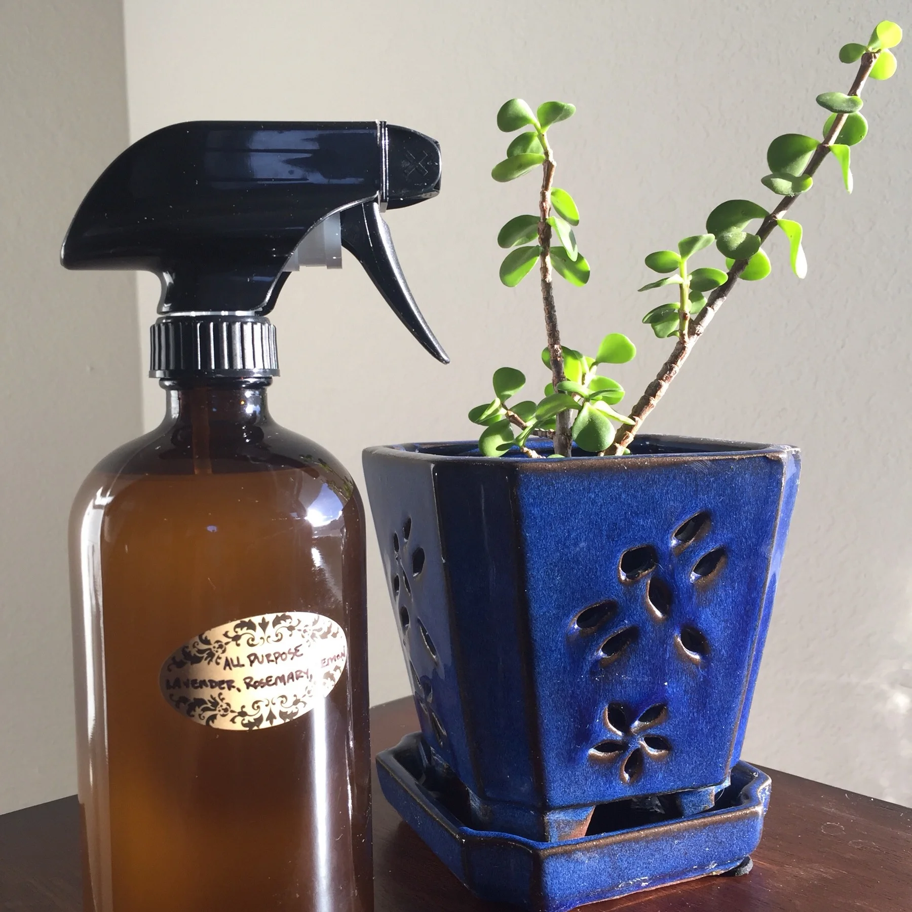 diy cleaner.jpg