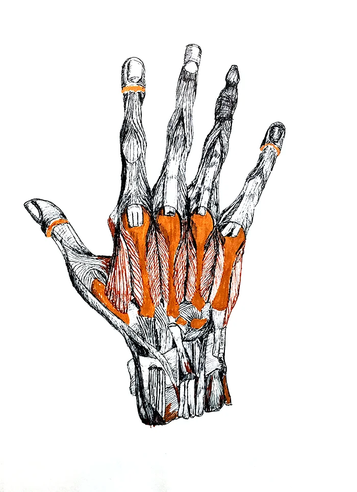 hand2.jpg