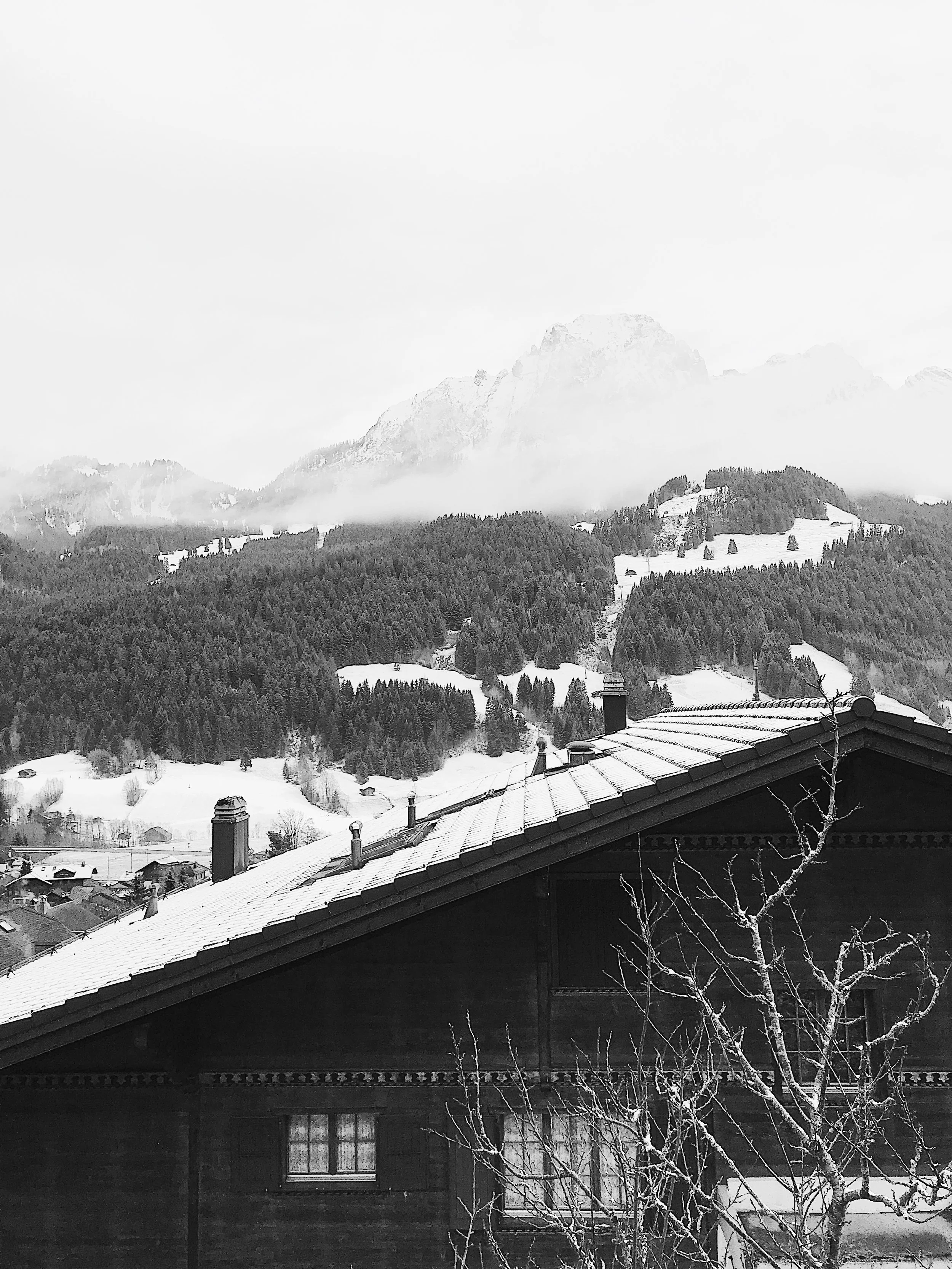3F072DE1-64CF-492E-940F-0D1647793D2F.JPG