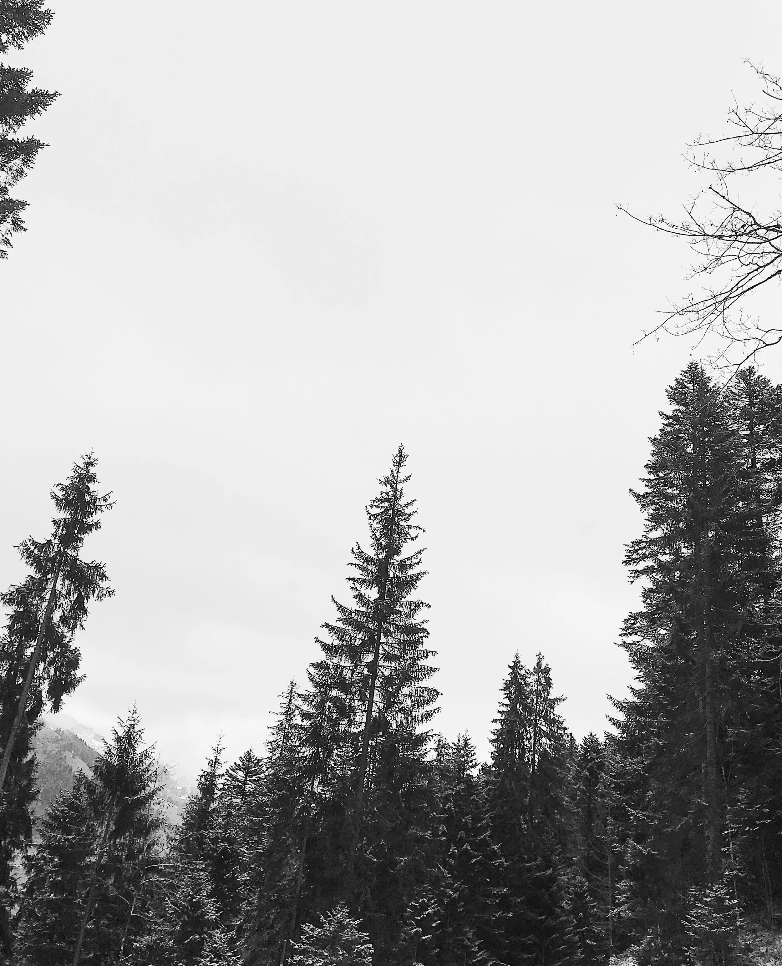 51F430FE-5FD9-4C36-8410-9F800FBBCD09 2.JPG