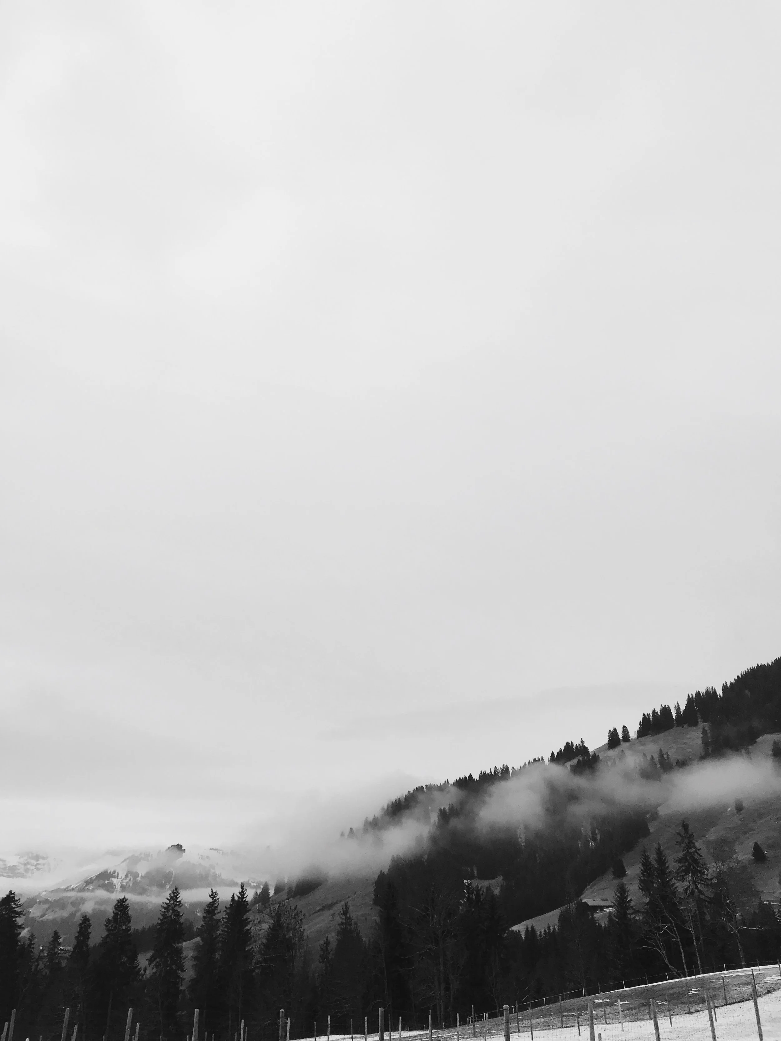 83509C2B-CEBB-46DB-8094-44625C72F0B2.JPG