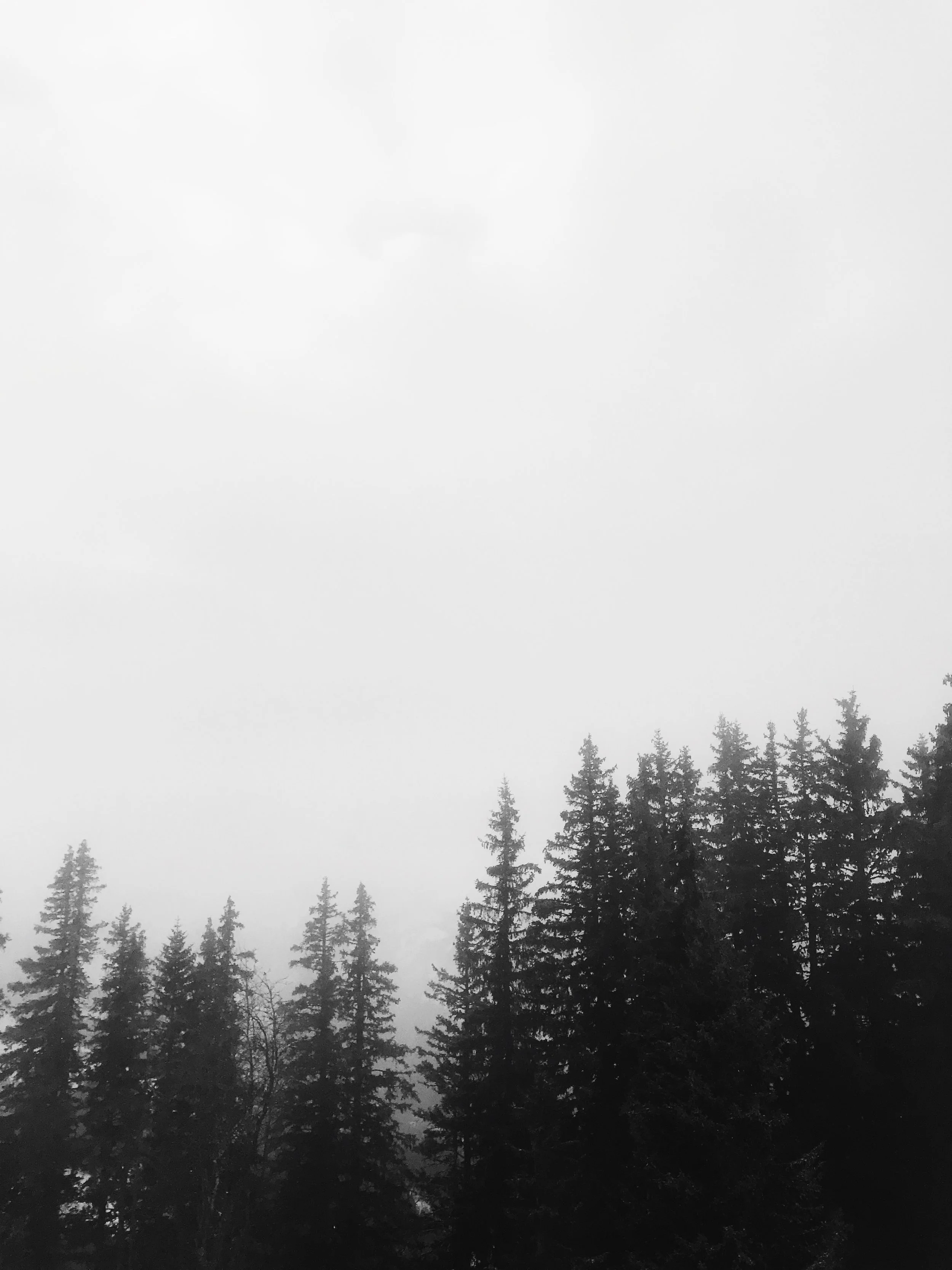 F3AC17C7-59D9-4C26-B2E2-D0E5A03E4426.JPG