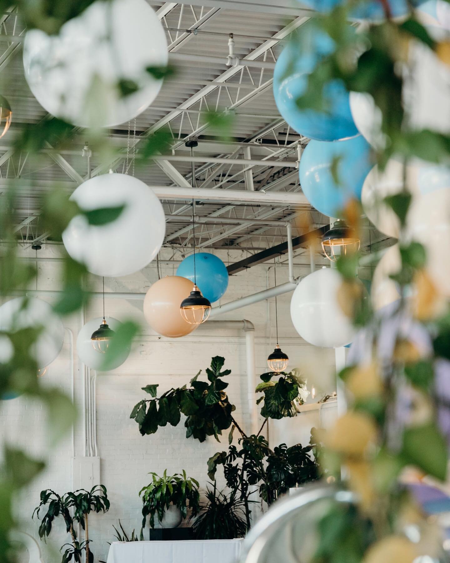 a moment 🌱

Photo credit: @hopegrayphoto 

Venue: @placeattyler
Planner: @hunterorcuttevents
Balloons: @lushra