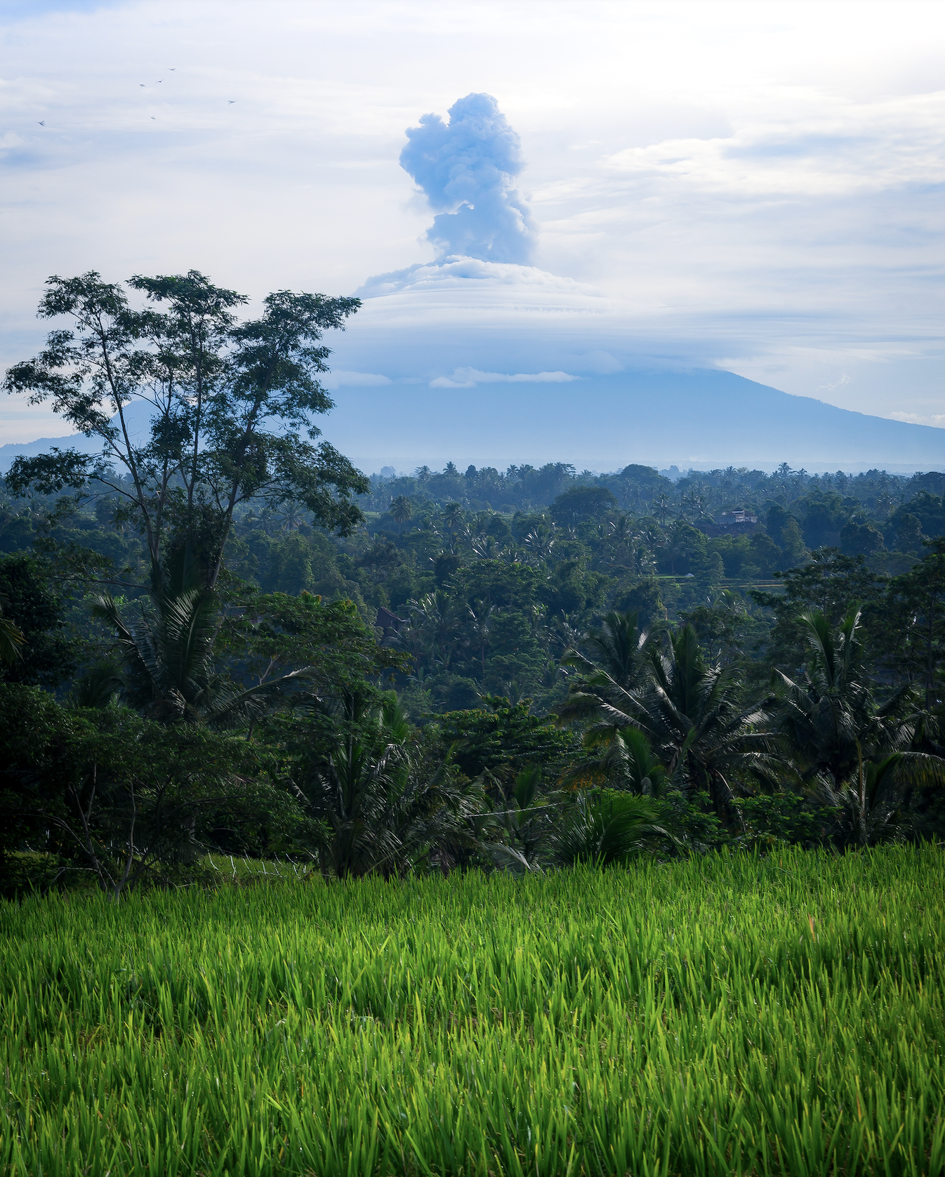  Boom - Bali, 2017 | Edition 2 / 5 | 40 x 60 in | 100 x 150 cm | Pigment Print    
