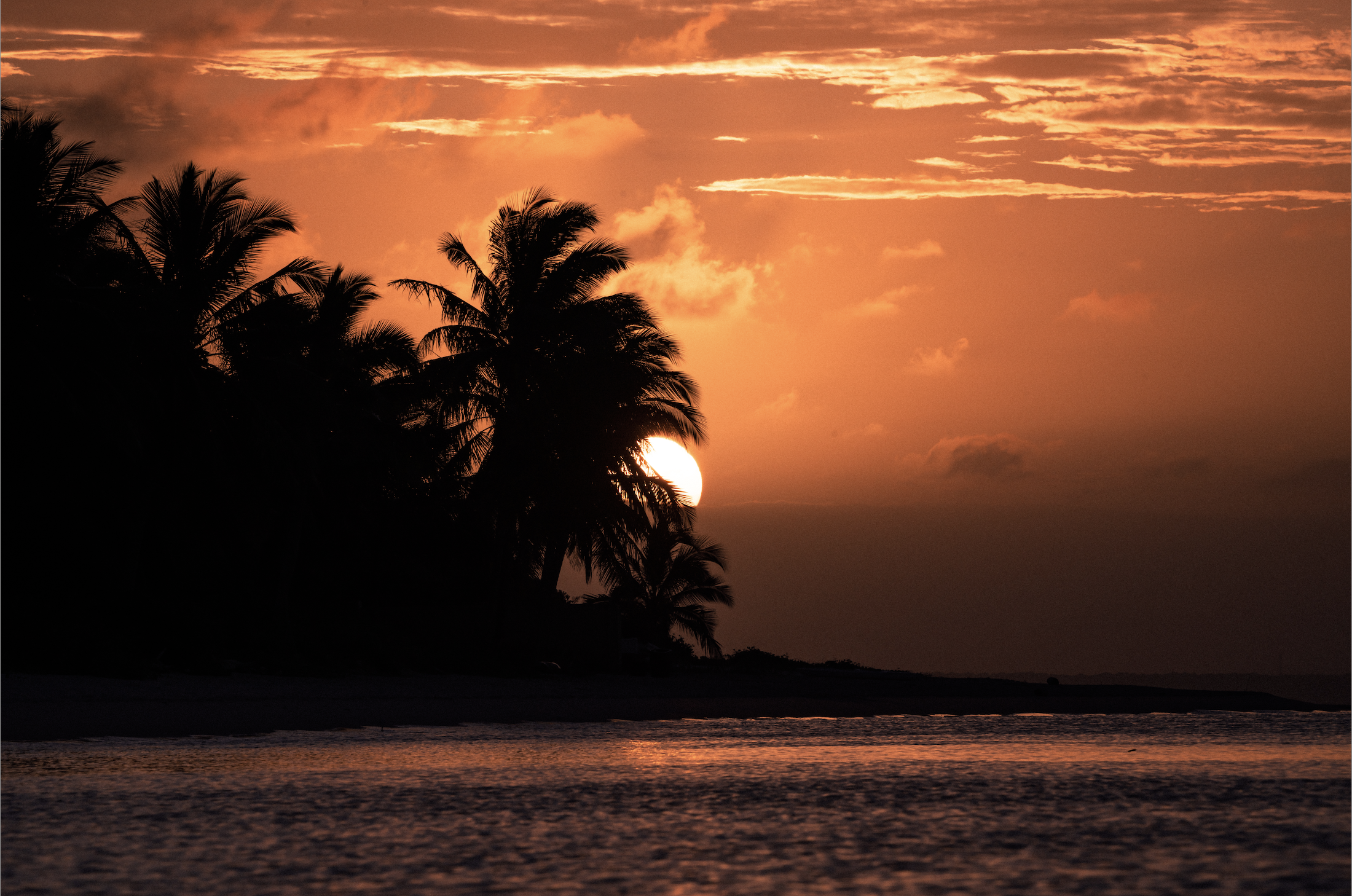  Final Countdown - Mozambique, 2022 | Edition 2 / 5 | 64 x 48 in | 120 x 160 cm | Pigment Print 