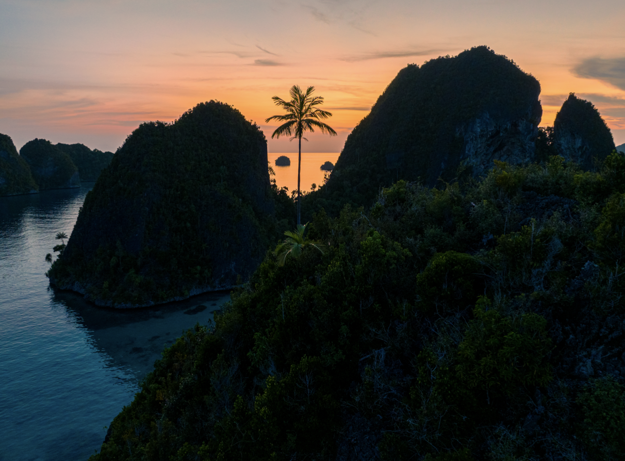  Palm Paradis - Raja Ampat, 2023 | Edition 2 / 5 | 64 x 48 in | 120 x 160 cm | Pigment Print 