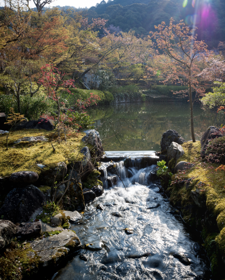  Philosophers Path #7 - Kyoto, 2018 | Edition 2 / 5 | 64 x 48 in | 120 x 160 cm | Pigment Print 