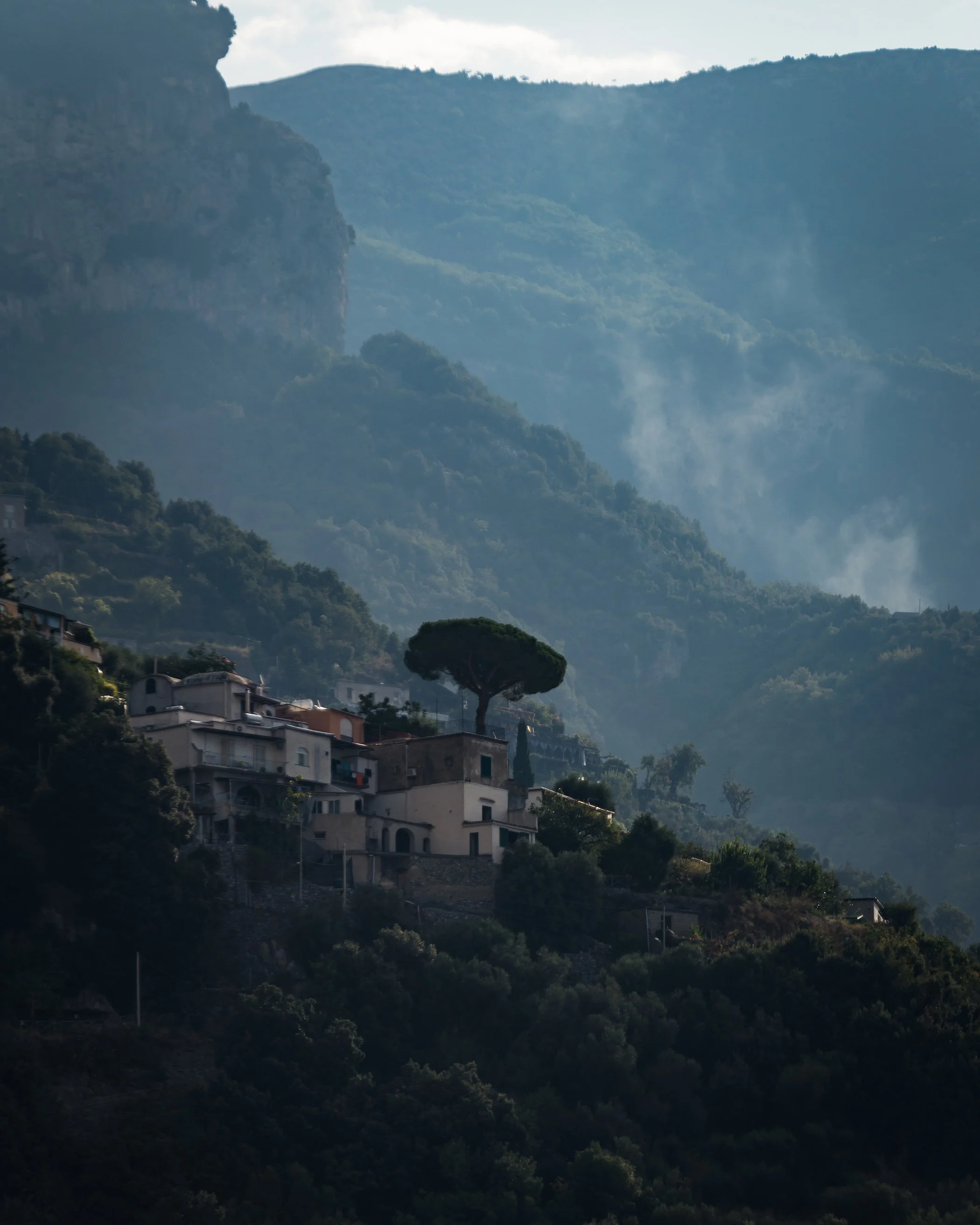  Trees of Italy #2 - Amalfi, 2018 | Edition 2 / 5 | 64 x 48 in | 135 x 120 cm | Pigment Print      