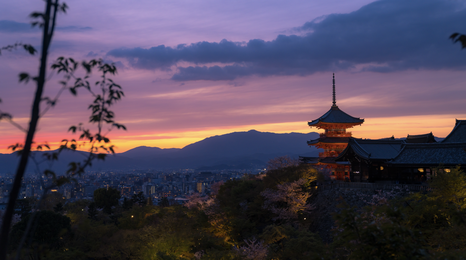  Cherry Temple #6 - Kyoto, 2023 | Edition 2/5 | 70 x 48 in | 136 x 91 cm | Pigment Print  