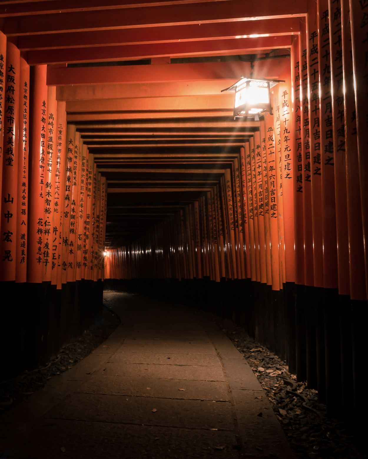  Not Alone - Kyoto, 2018 | Edition 2/5 | 64 x 48 in | 121x 91 cm | Pigment Print  