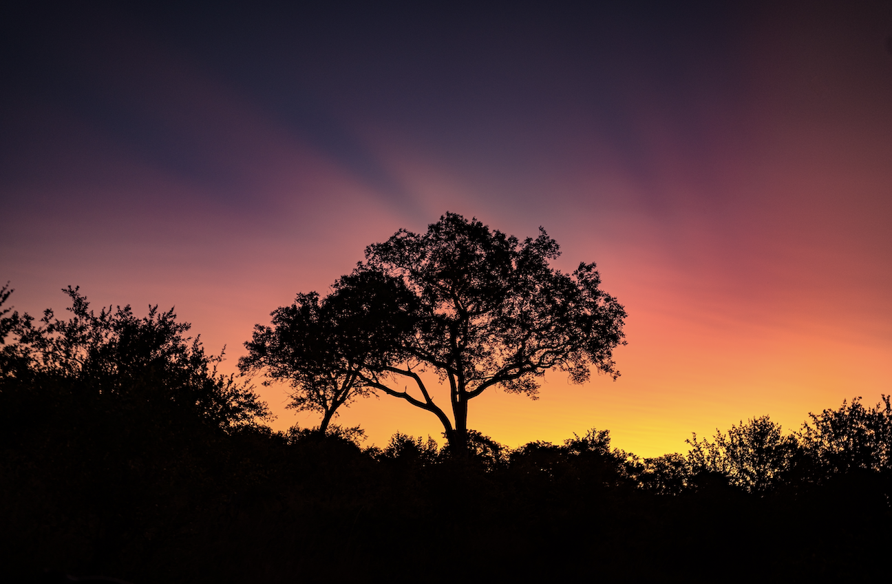  Gradient - South Africa, 2022 | Edition 2 / 5 | 64 x 48 in | 120 x 160 cm | Pigment Print    