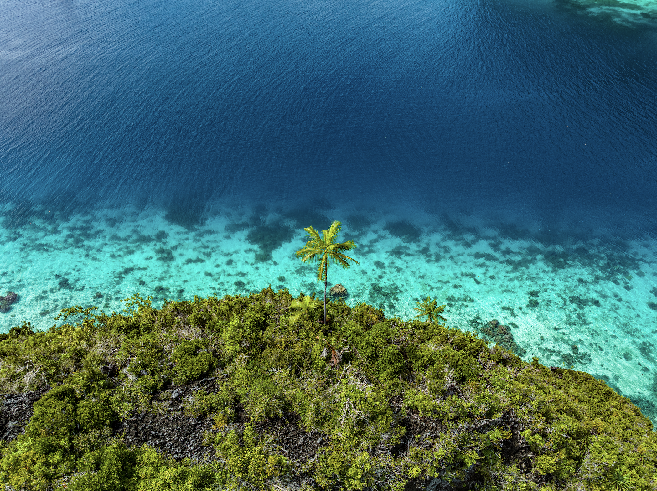  Palm Paradis #2 - Raja Ampat, 2023 | Edition 2 / 5 | 48 x 64 in | 120 x 160 cm | Pigment Print 
