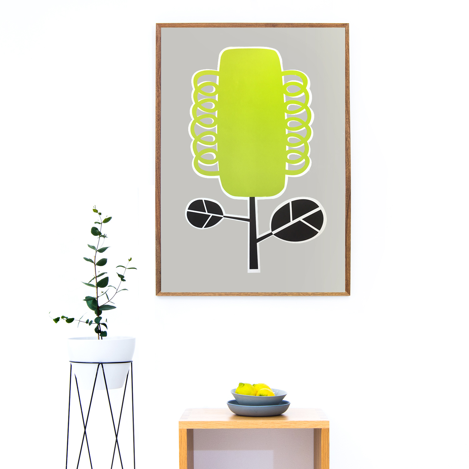 Plant_Banksia_square_background2.jpg