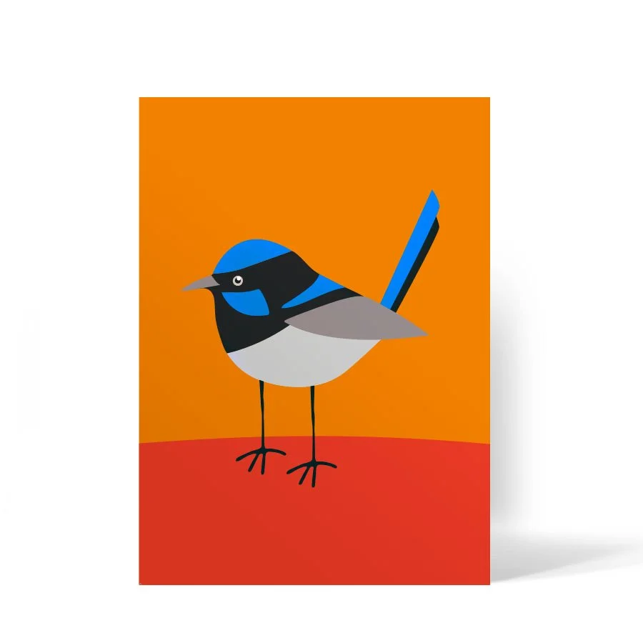 Blue Wren.jpg