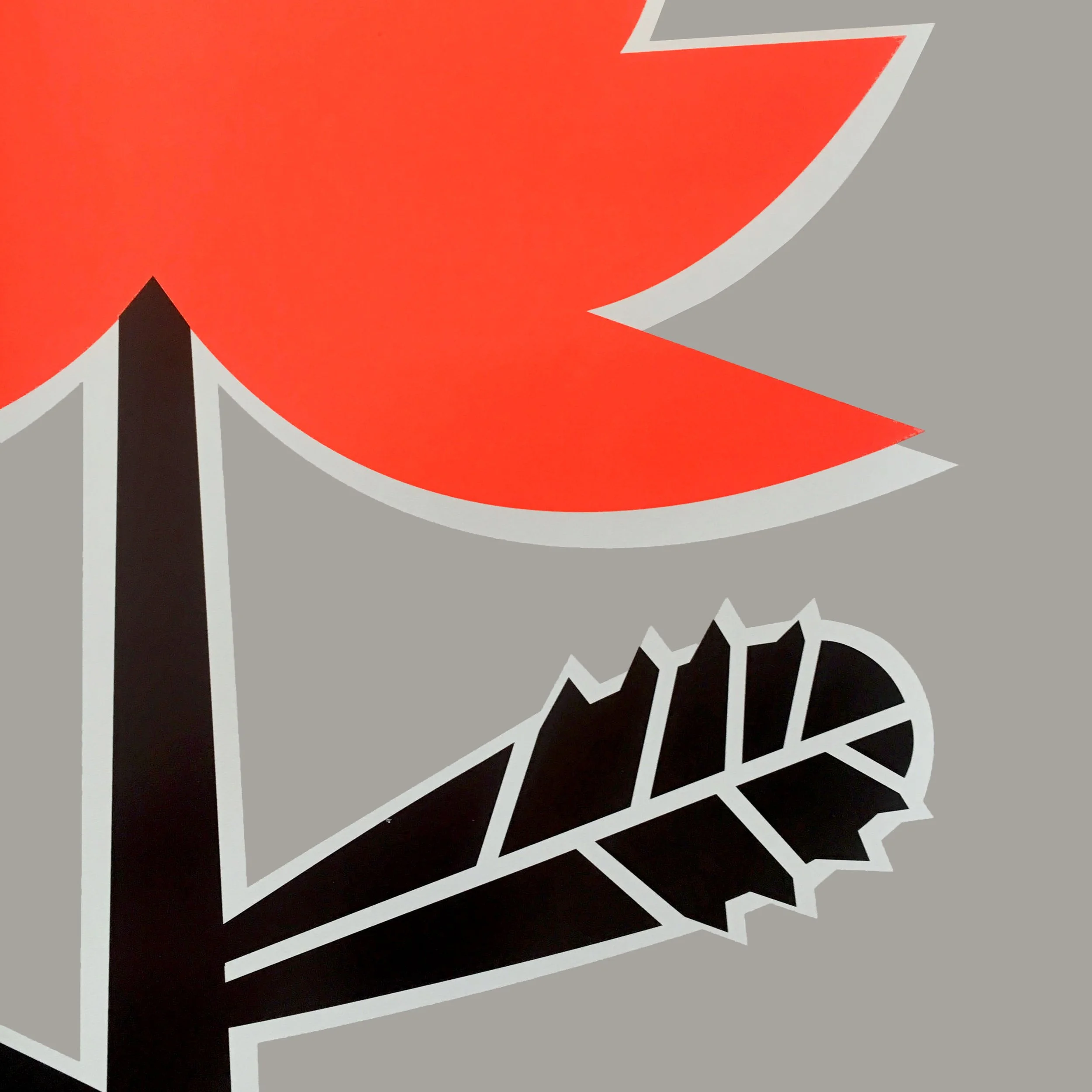 Waratah Silkscreen Print