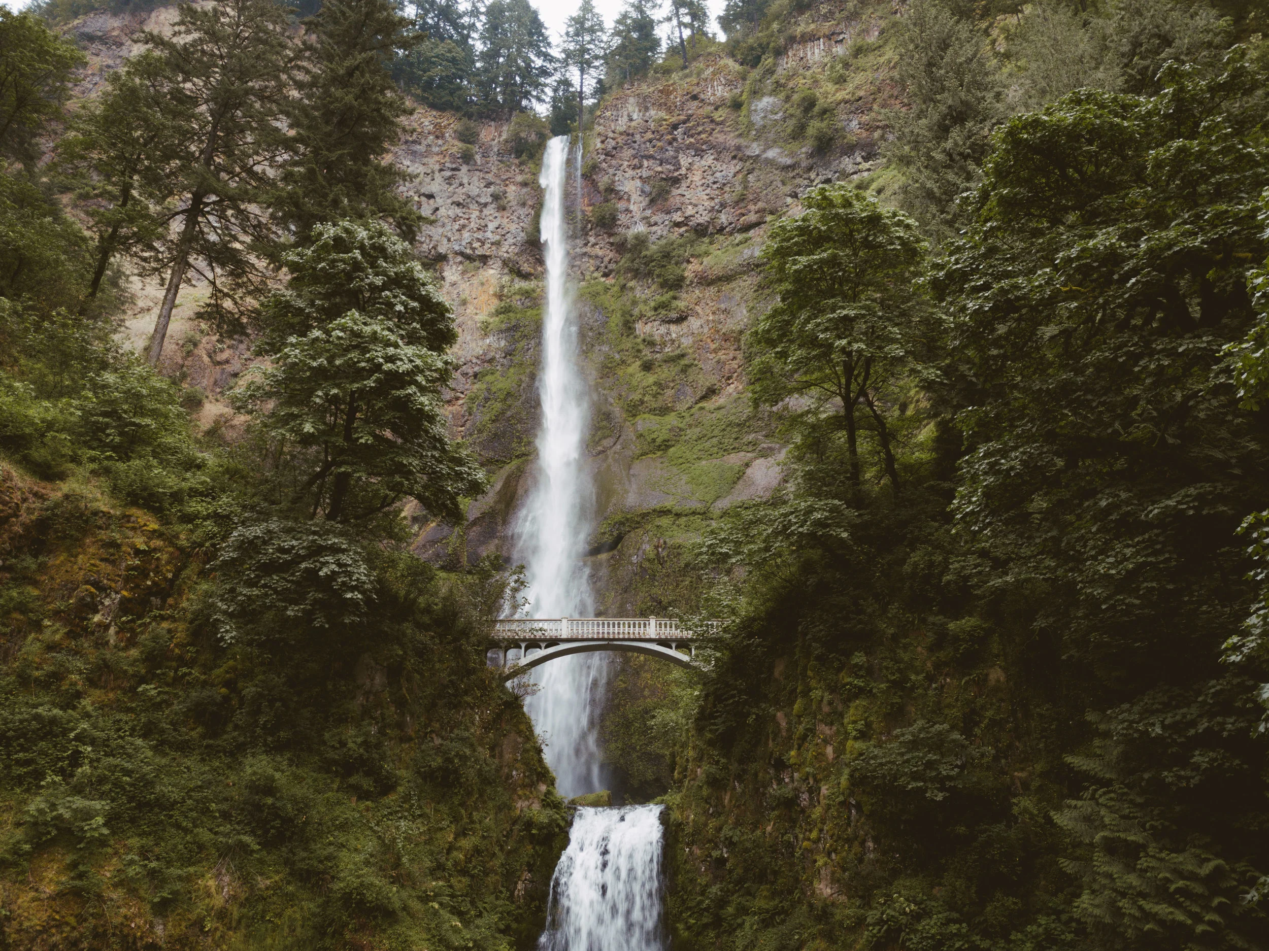 DJI_0138.jpg