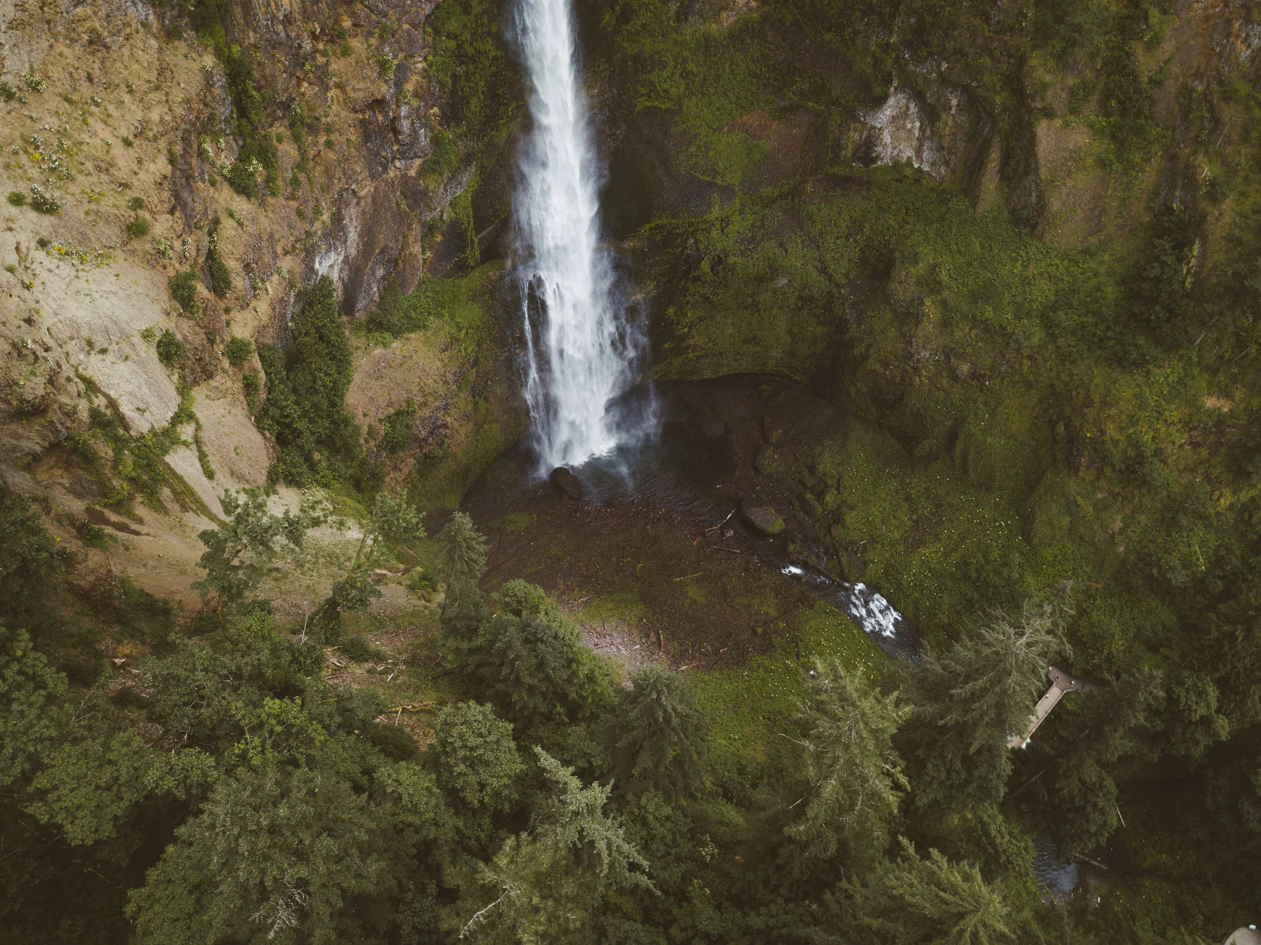 DJI_0187.jpg