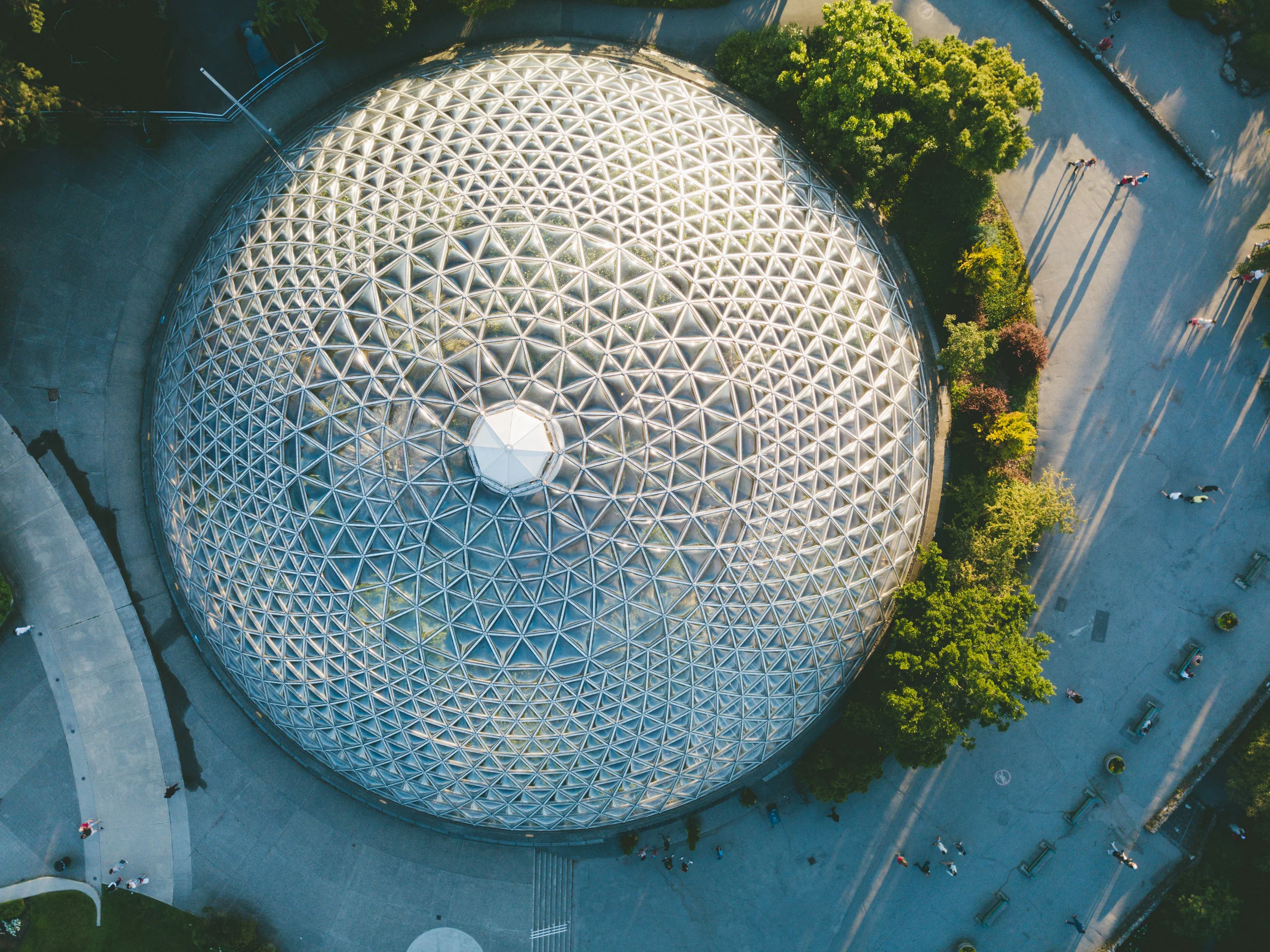 DJI_0339.jpg
