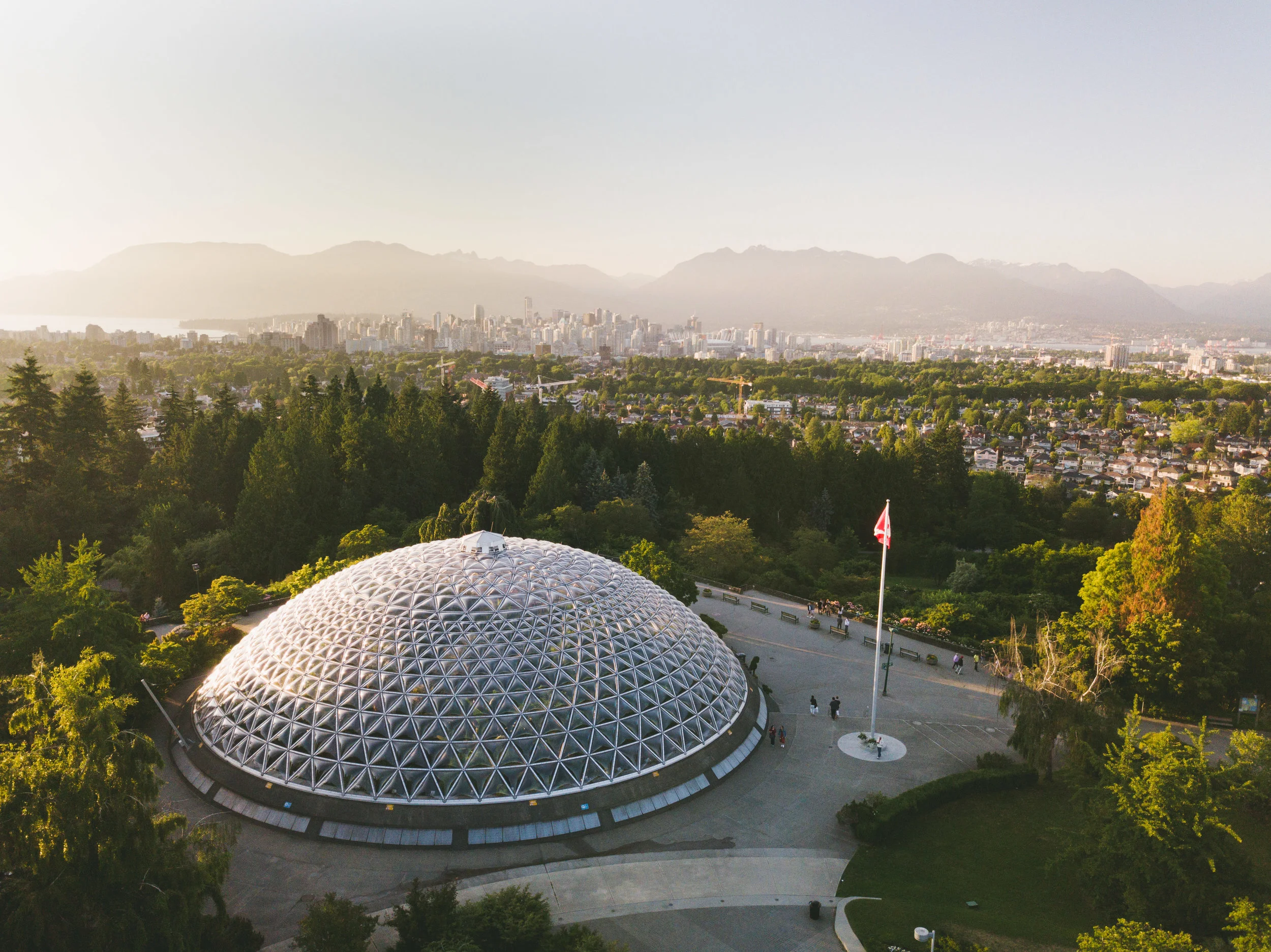 DJI_0374.jpg