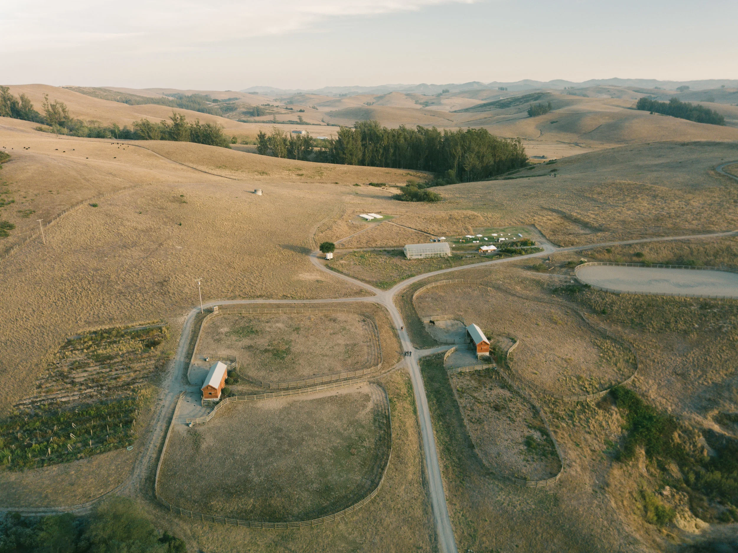 DJI_0100.jpg