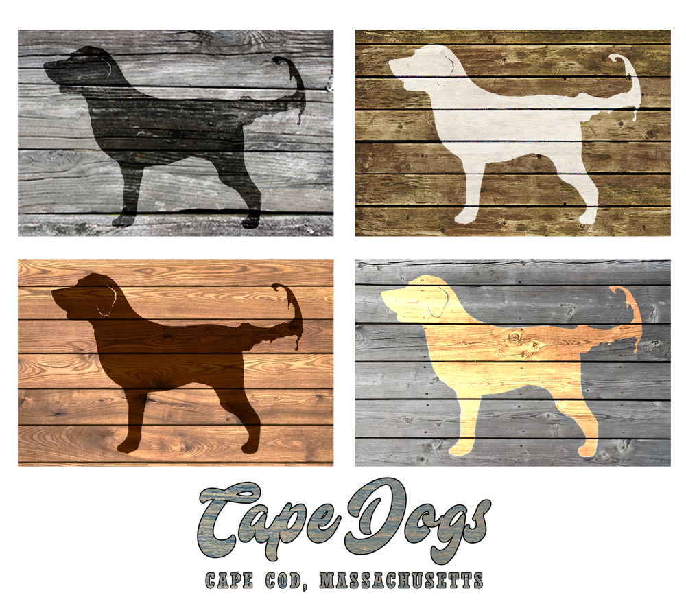 Cape Dogs Poster