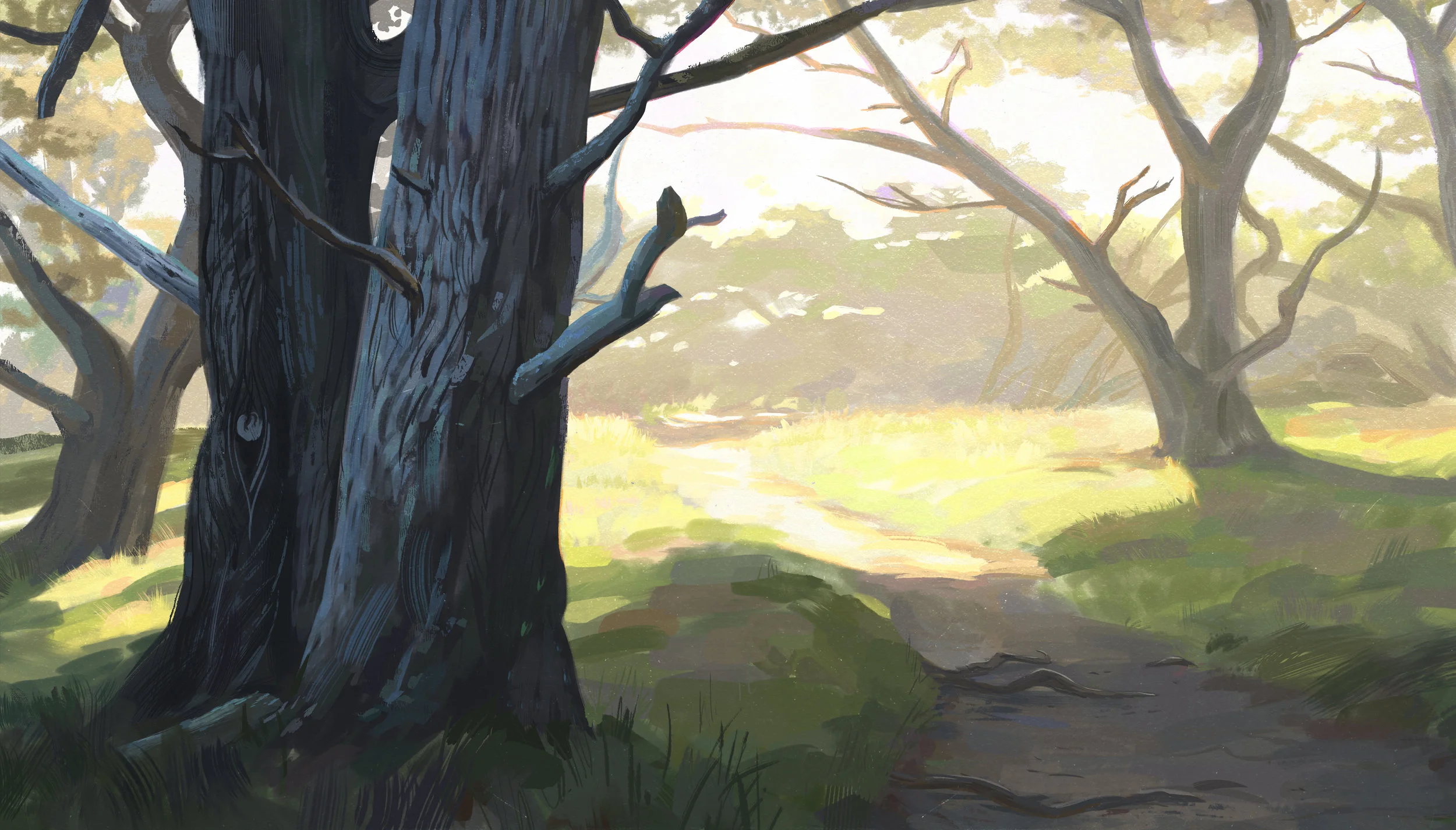 ForestSketch.jpg