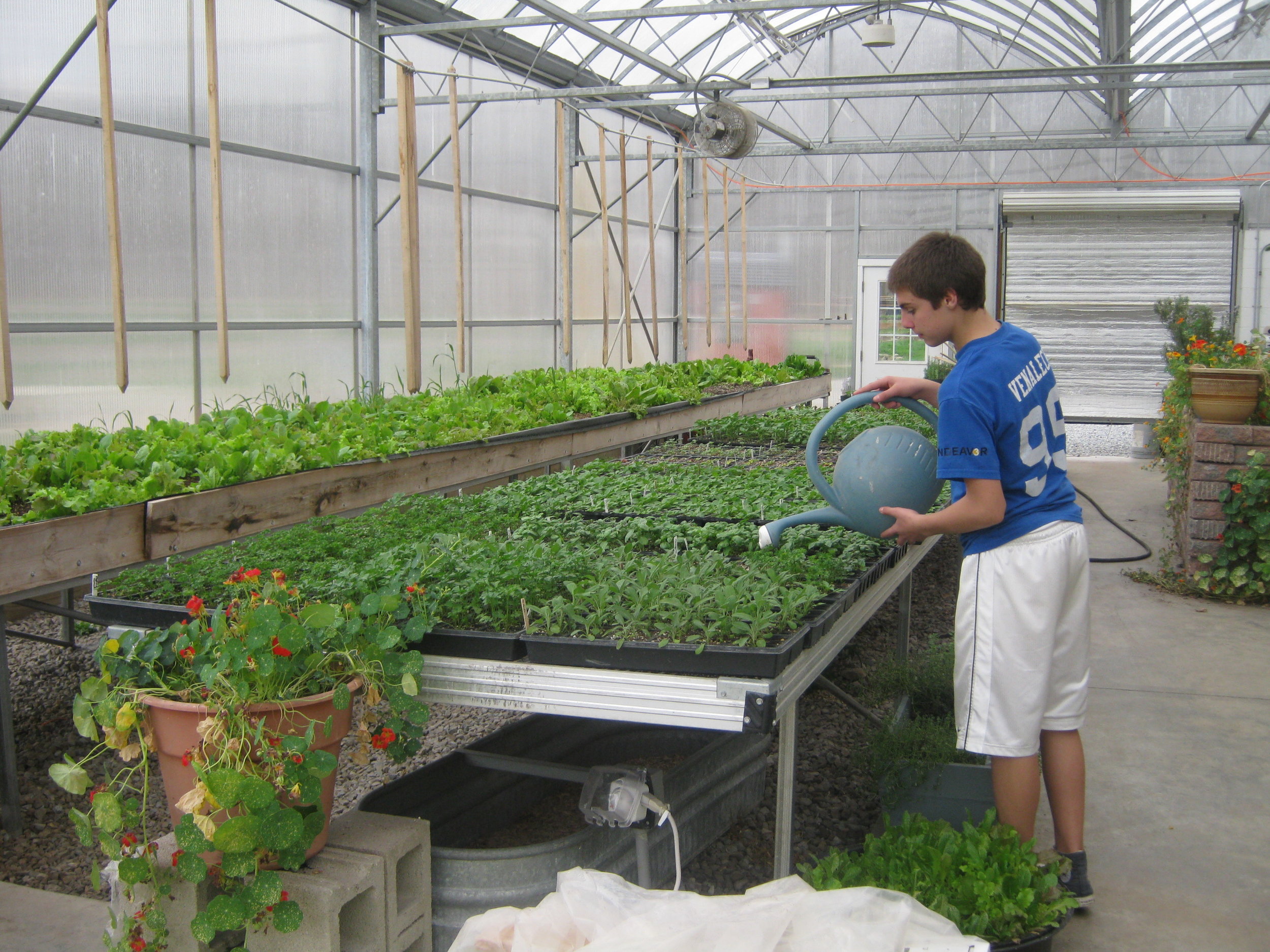 Deep Dive on Needs and Characteristics of Adolescents, Sensitive Periods, Human Tendencies, Development in Context of Place.     