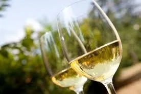 white wine .jpg