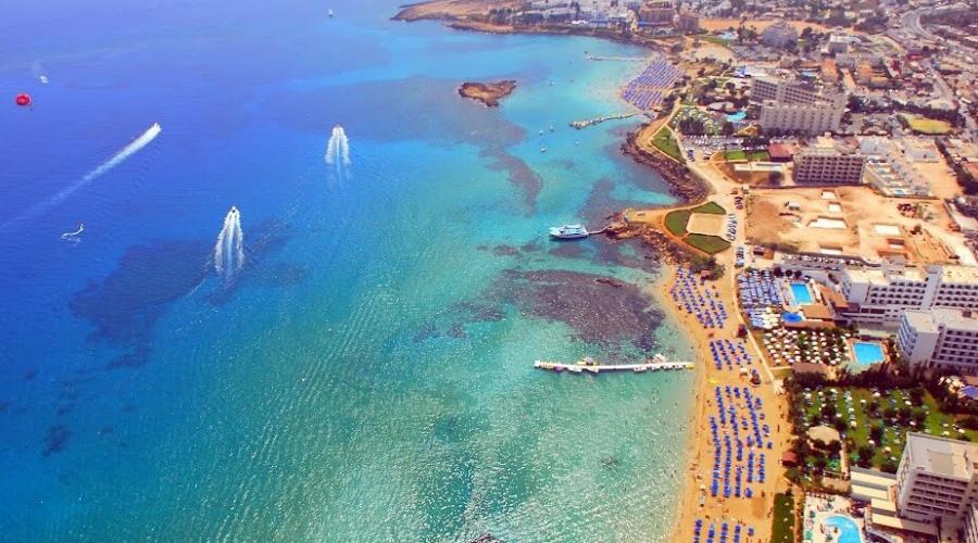 fig-tree-bay.jpg