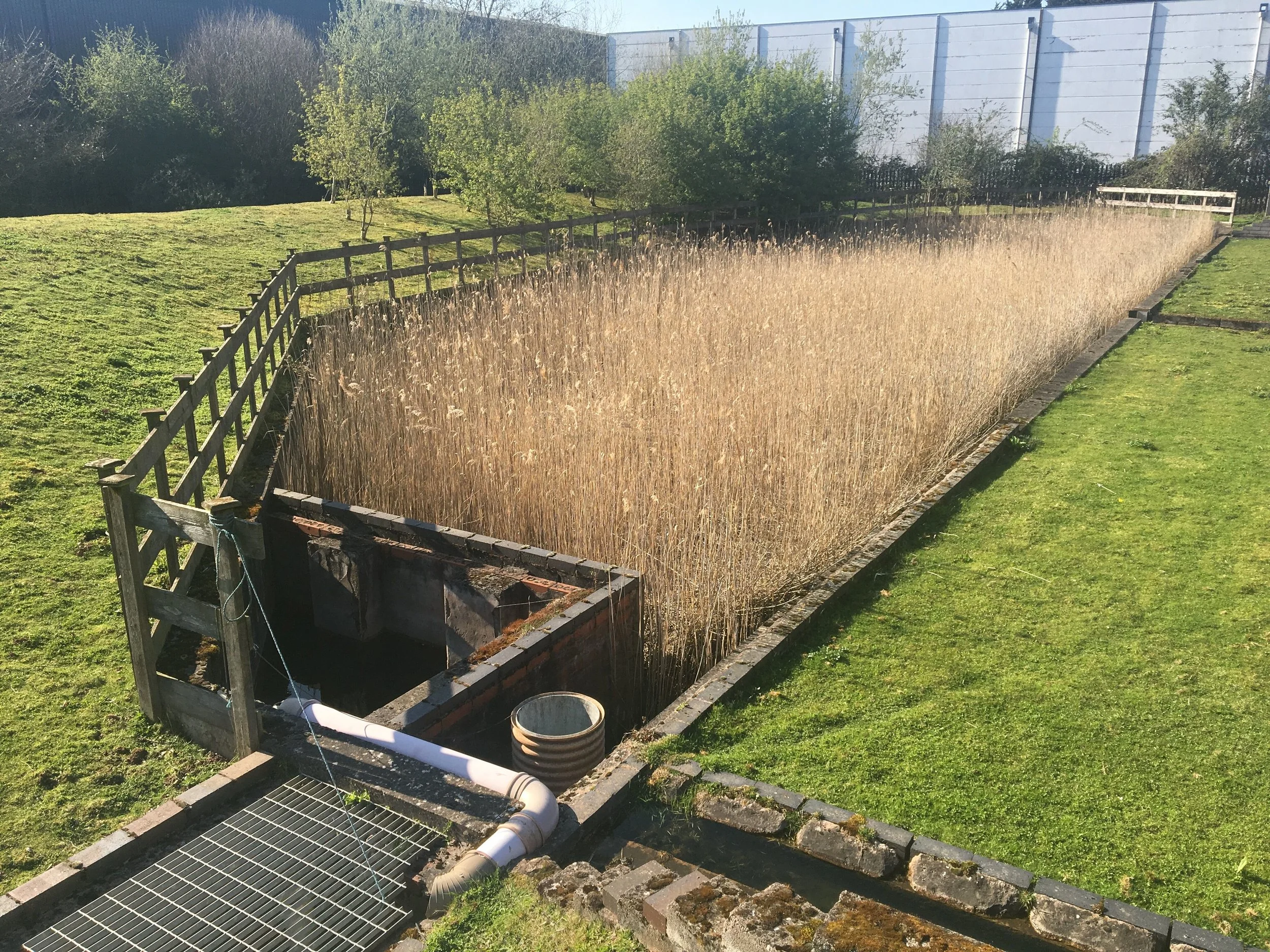 Watson Fuels Reed Bed at their Ledbury Depot
