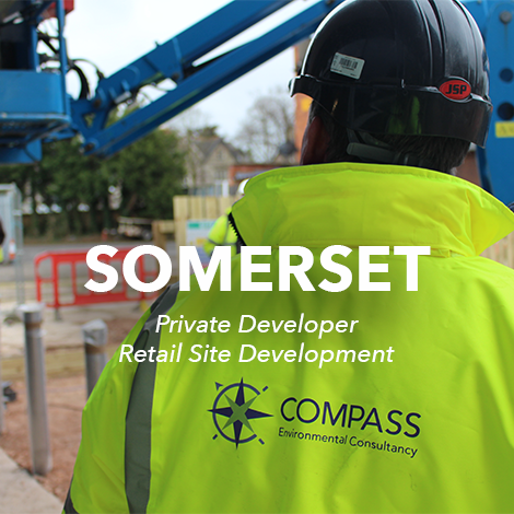 Somerset Case Study Photo.png