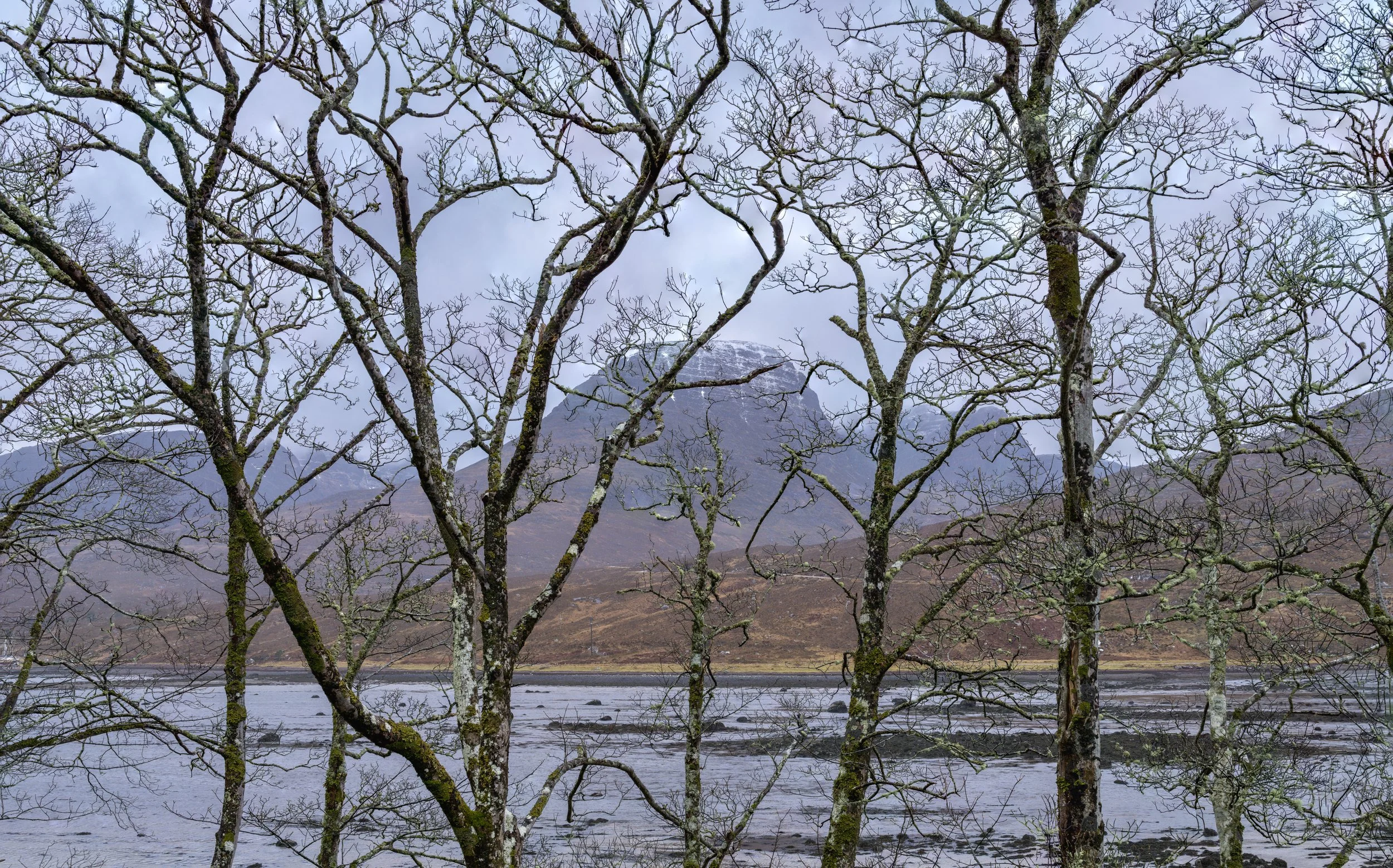 NW Scotland2720260220.jpg