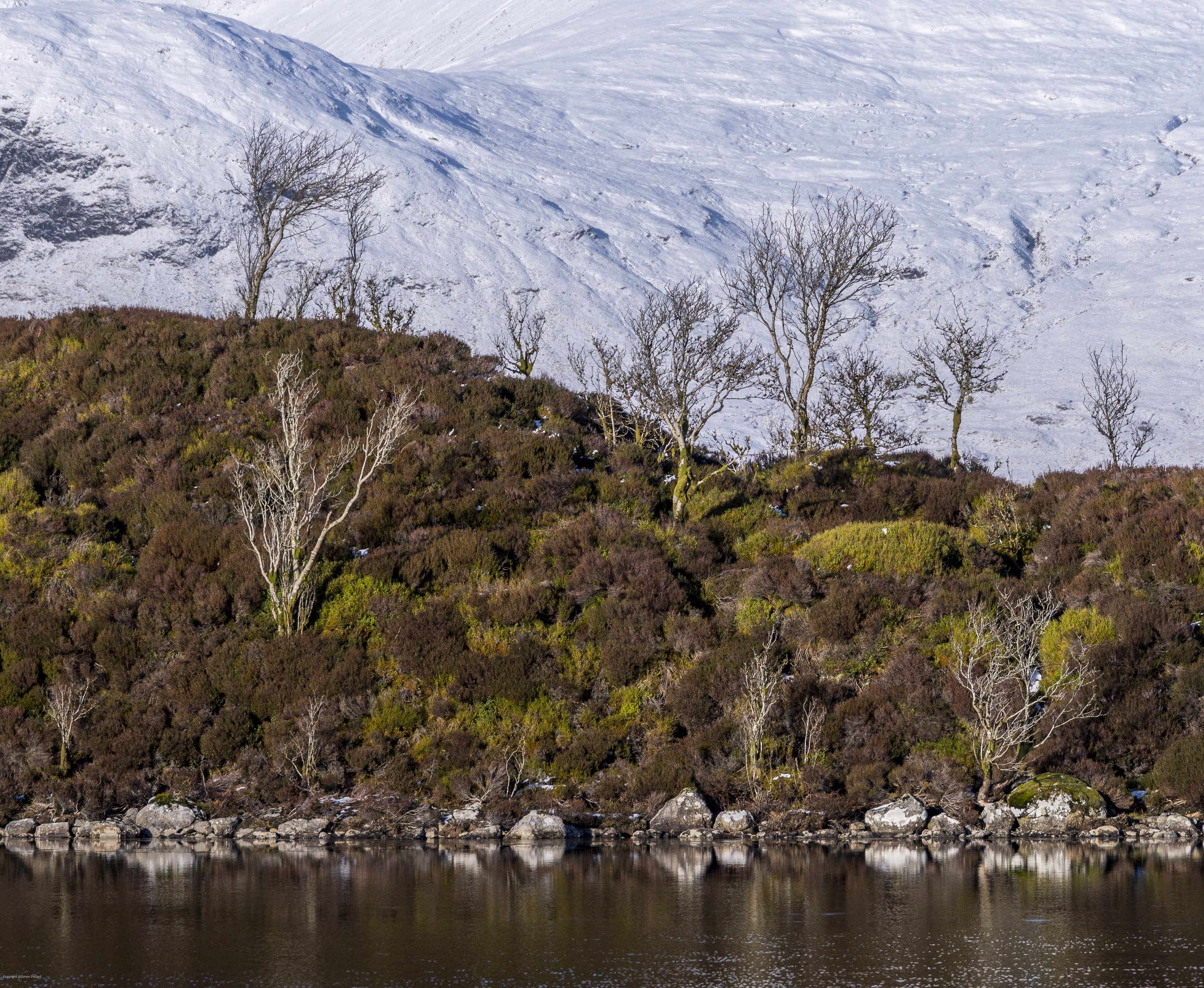 NW Scotland620260217.jpg