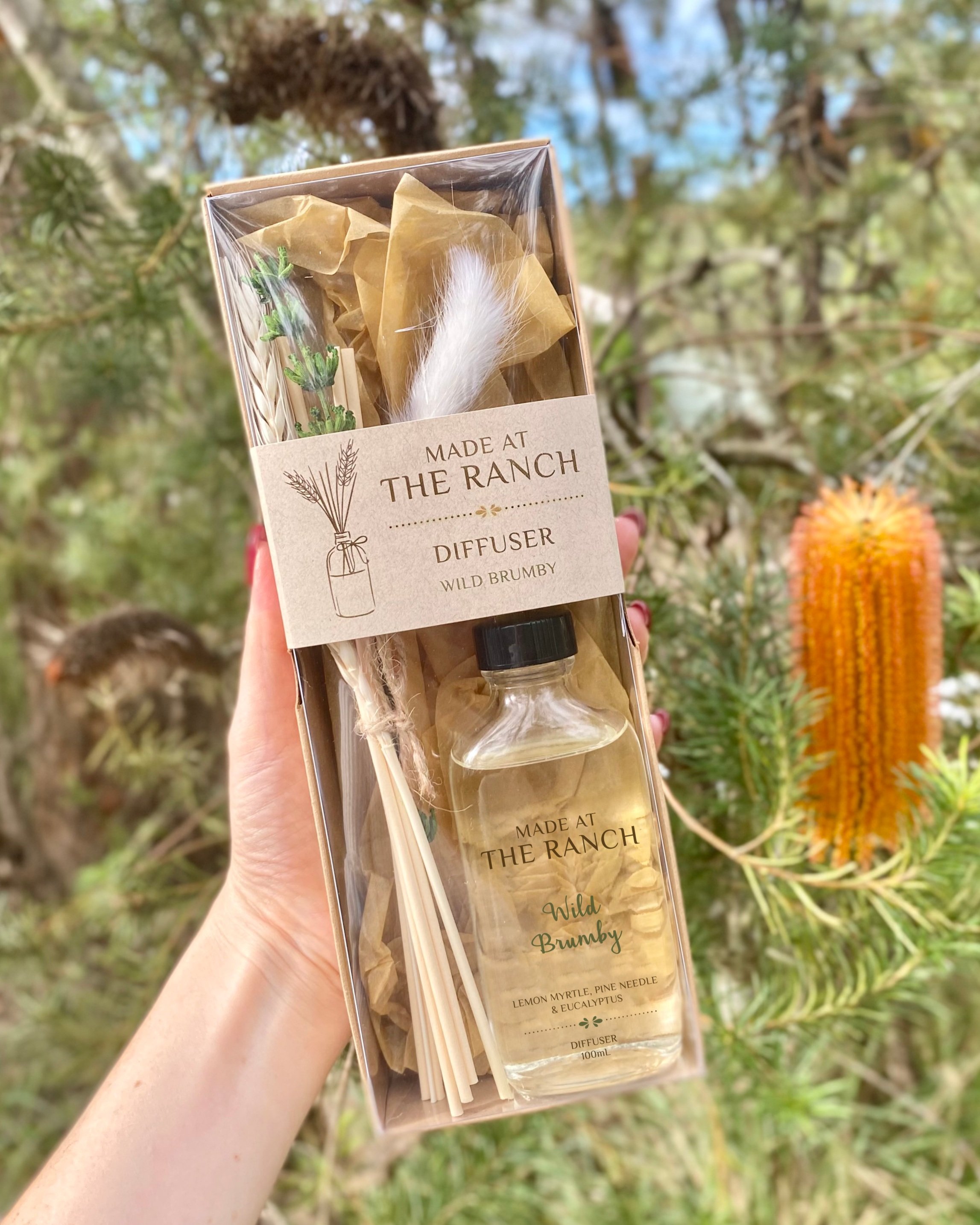 Wild-Brumby-Botanical-Diffuser-MATR.jpg