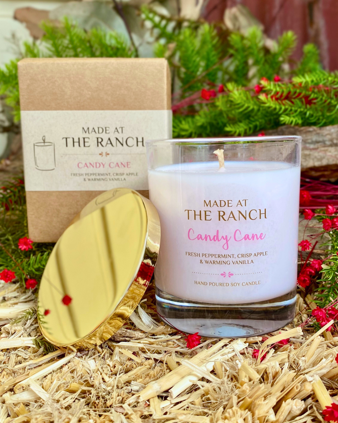 Candy Cane - Christmas Limited Edition