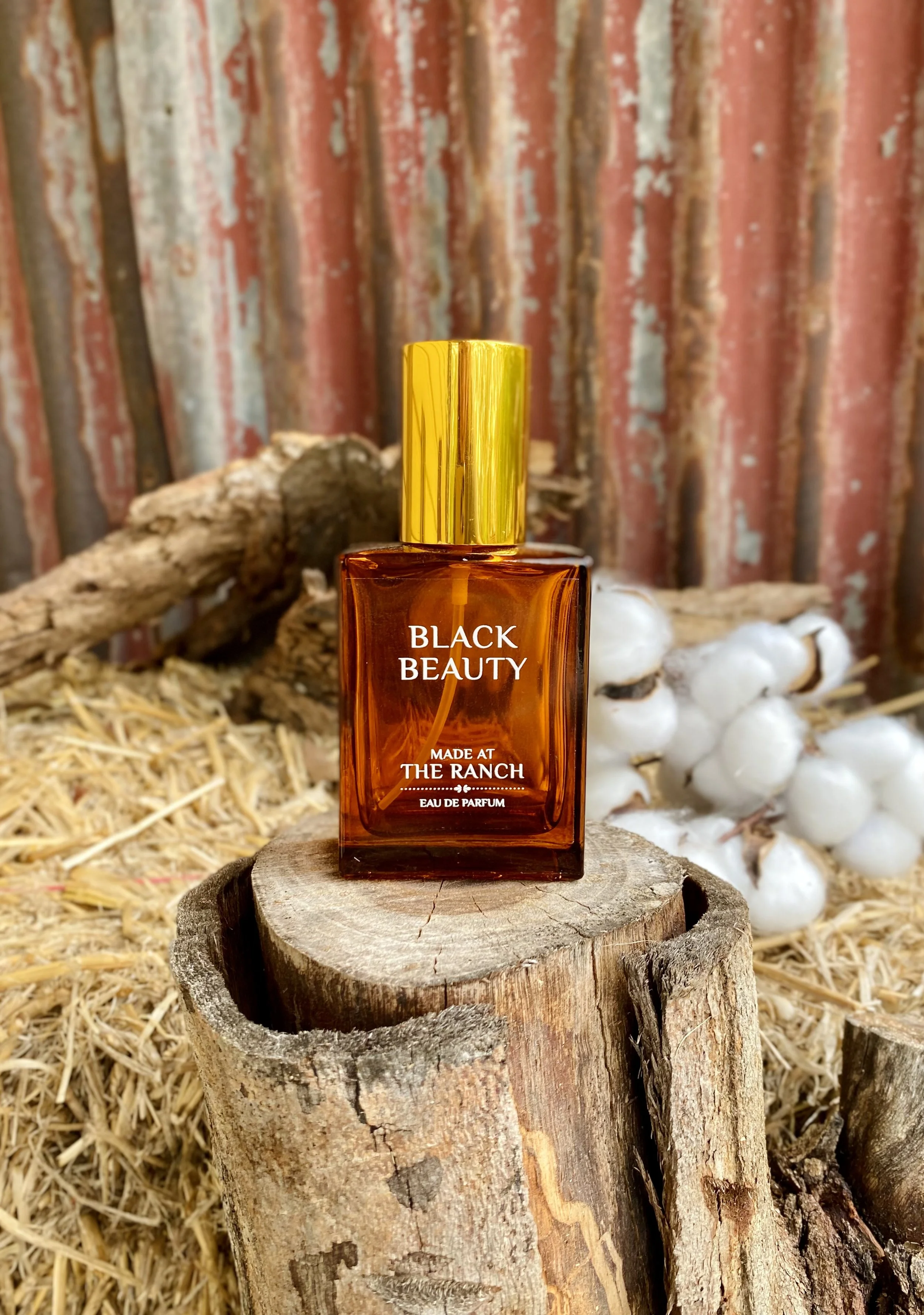 Black-Beauty-EDP.jpg